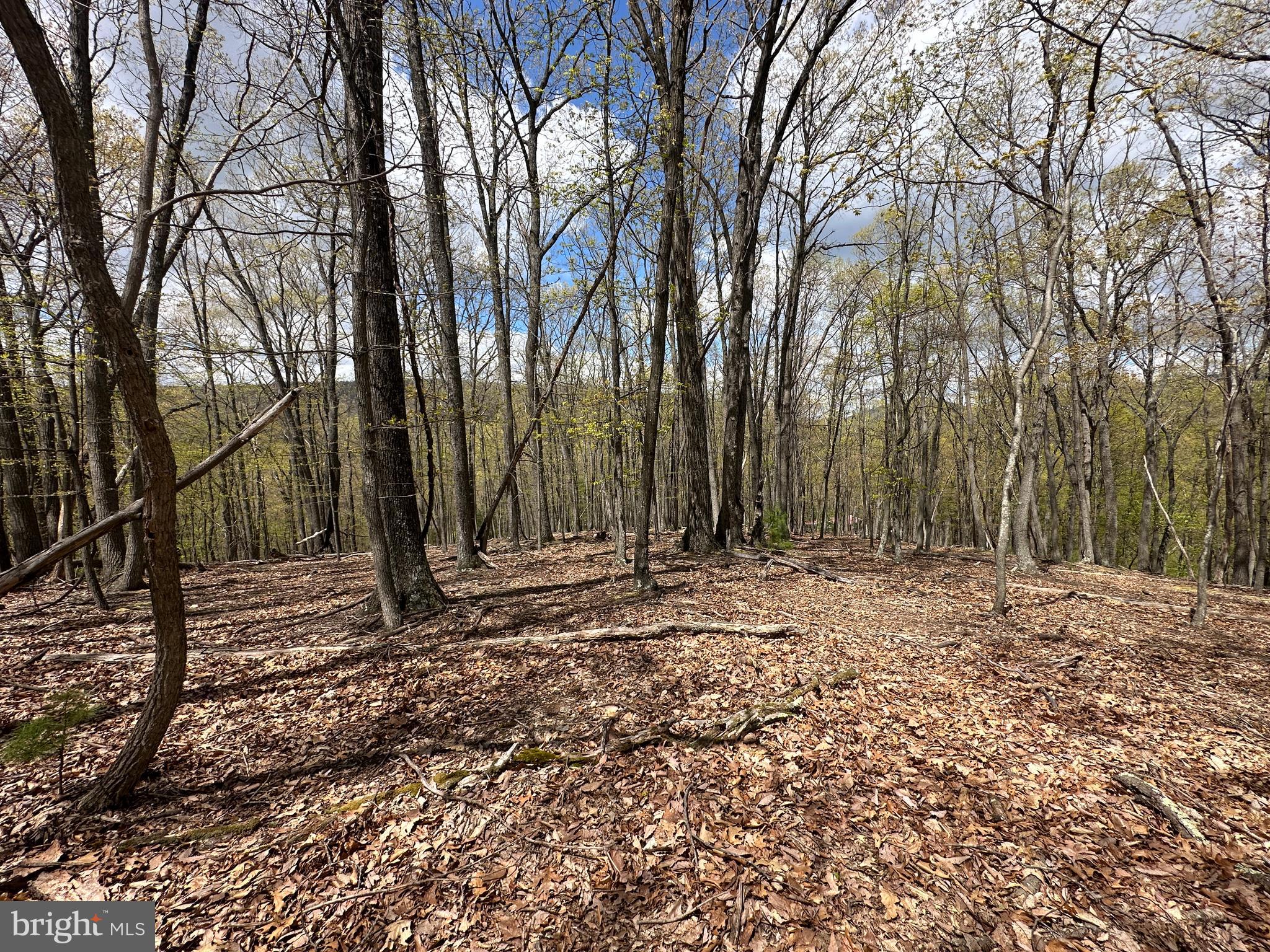 LOST RIVER MOUNTAIN - Land