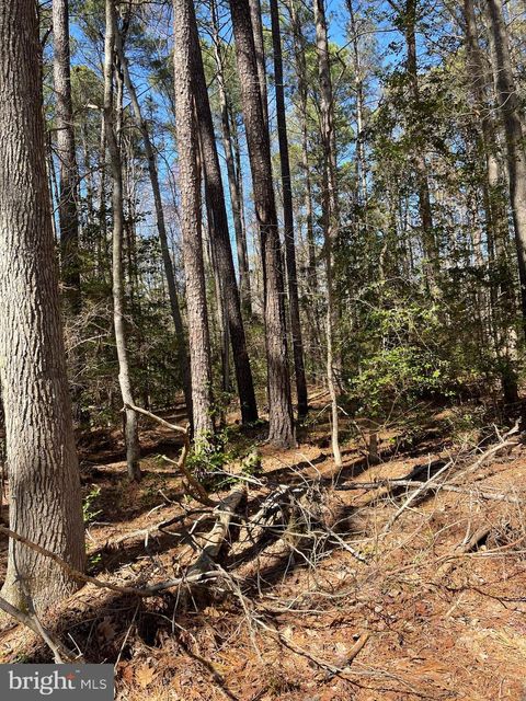 Vacant Land For Sale - 1st Street<br/> NANJEMOY, MD 20662