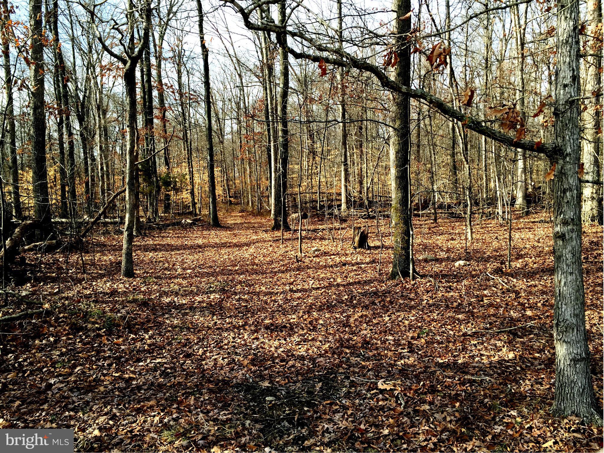 BUCKINGHAM ESTATES - Land