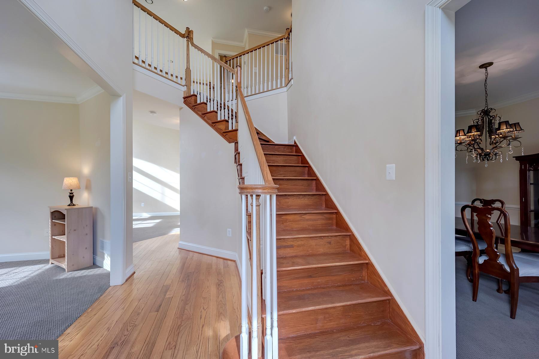 THE CHASE AT MALVE - Residential