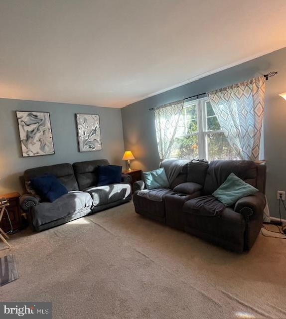 FLOWER HILL - Residential