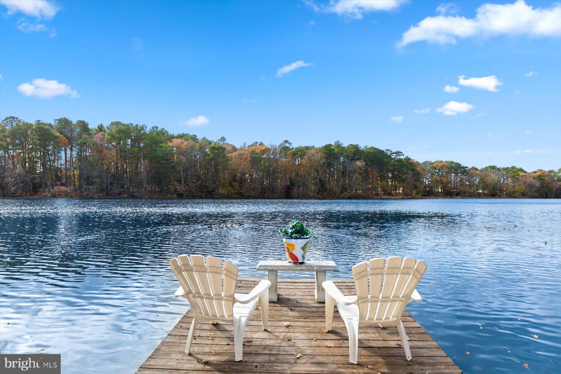 1016 SCHUMAKER WOODS ROAD