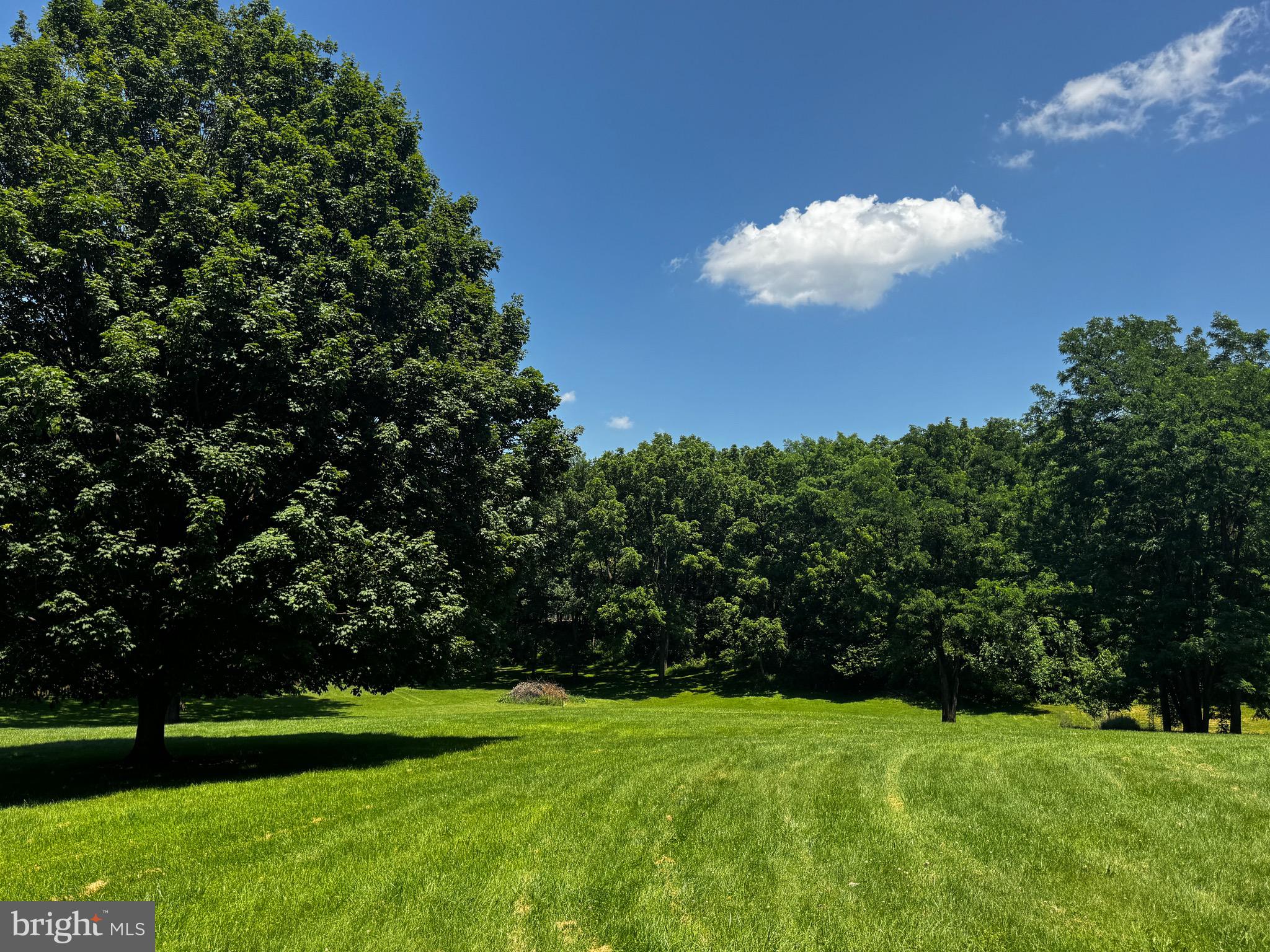 MOUNTAIN BROOK ESTATES - Residential