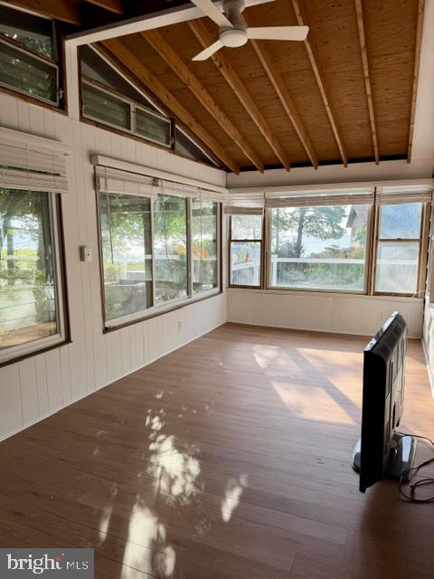 DRUM POINT - Residential