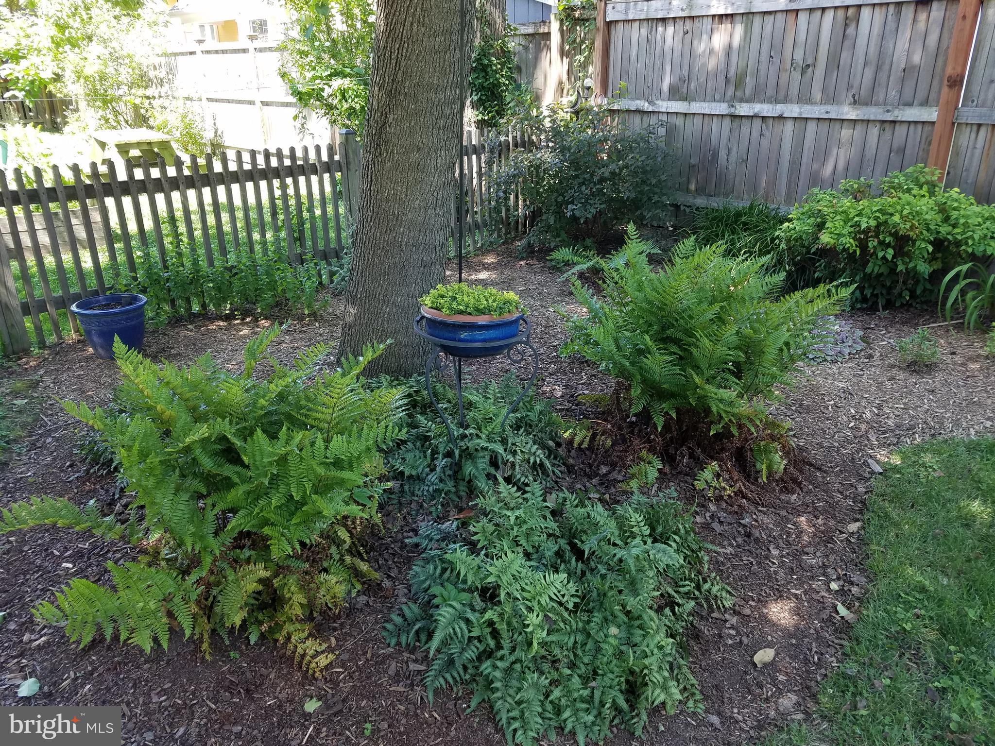 DEL RAY - Residential Lease