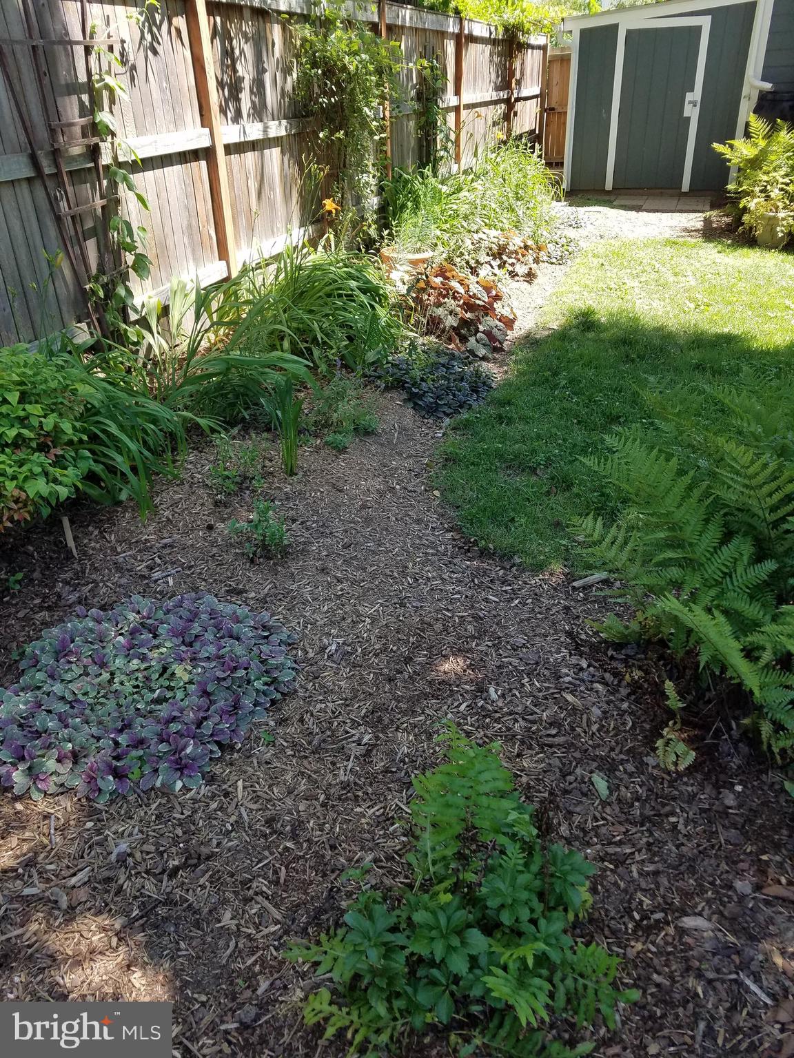 DEL RAY - Residential Lease