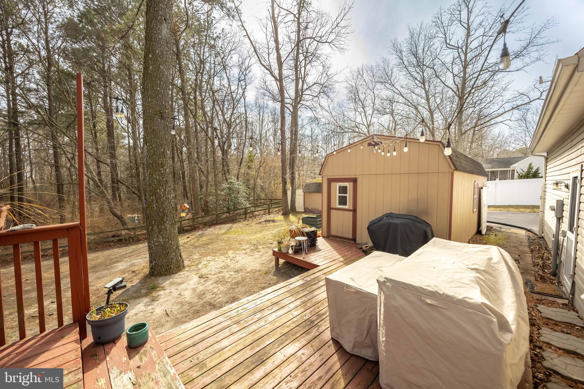 MOCKING BIRD - Residential