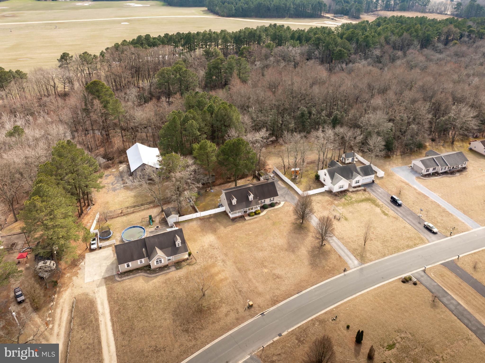 MOCKING BIRD - Residential