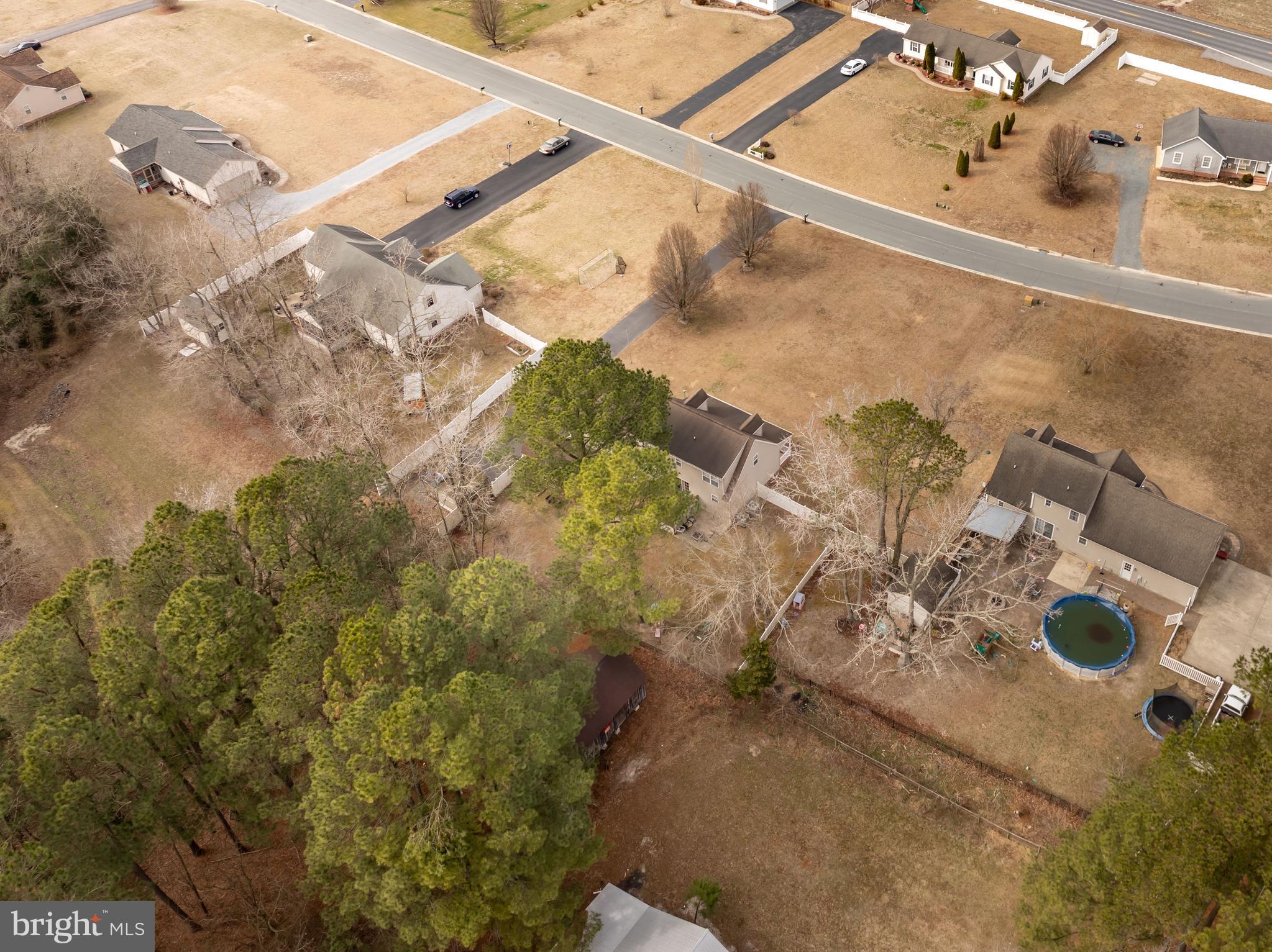 MOCKING BIRD - Residential