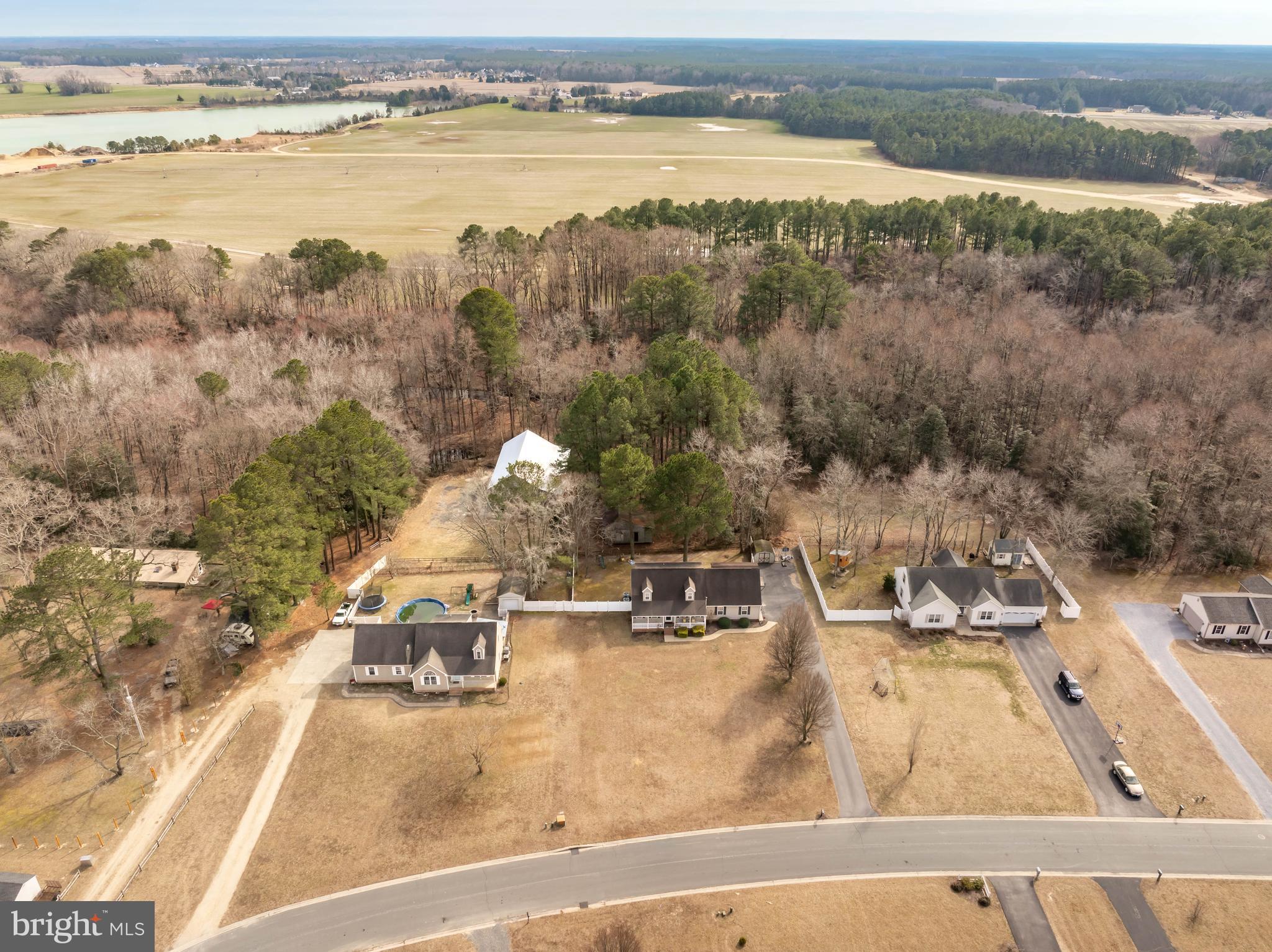 MOCKING BIRD - Residential