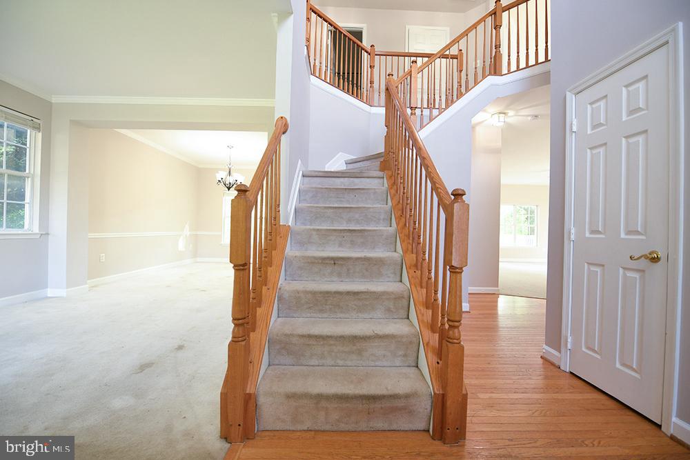 1402 TIMBERWOLF DRIVE