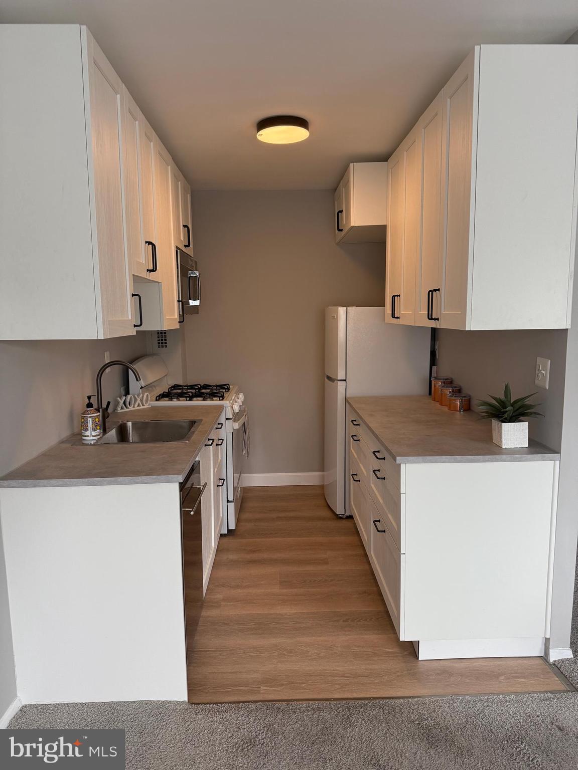 Welcome Home!! This wonderful 1 bedroom condo, located minutes from downtown Silver Spring. The building interior looks awesome. New floors in the halls and common areas, new paint throughout make this a very welcoming building/community. Newly renovated kitchen! New paint throughout with new lighting, new kitchen & cabinets plus a storage cage on the lower level of the building. Carpets have been shampooed! The bedroom has a great closet with lots of space. Carpet throughout the condo. The hall has a linen closet and a great coat closet. This is a great little condo! All utilities included! One ASSIGNED parking space in the rear parking lot! Walk to Sligo Park. Minutes to the Purple Line (when it opens!). This unit has it all for you!!! Call Listing Agent for more info!