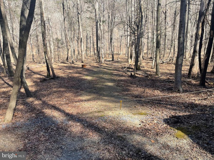 River property of your dreams, bring your kayaks, fishing poles, and river chars.  This flat 3 acre lot is the perfect location with very easy access to the Cacapon River.  Its back off the road and very quiet.  There is near 400 feet of river frontage, lots of space to use recreationally or to build your dream home along the river.  There is electric nearby and available for install, last owners claim it is perc'd for septic.  Current owner is checking with health department to verify.