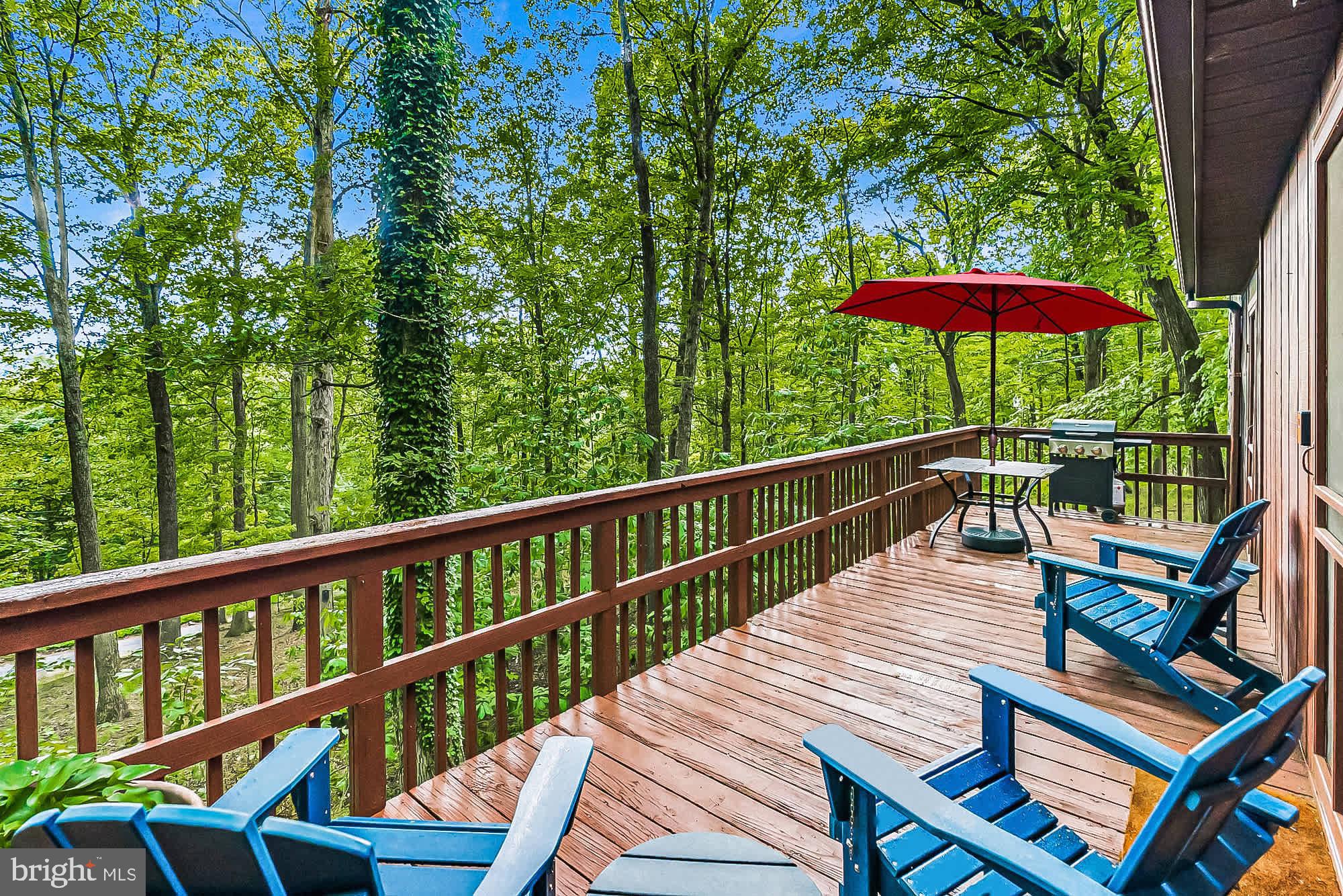 ROUSE MOUNTAIN - Residential