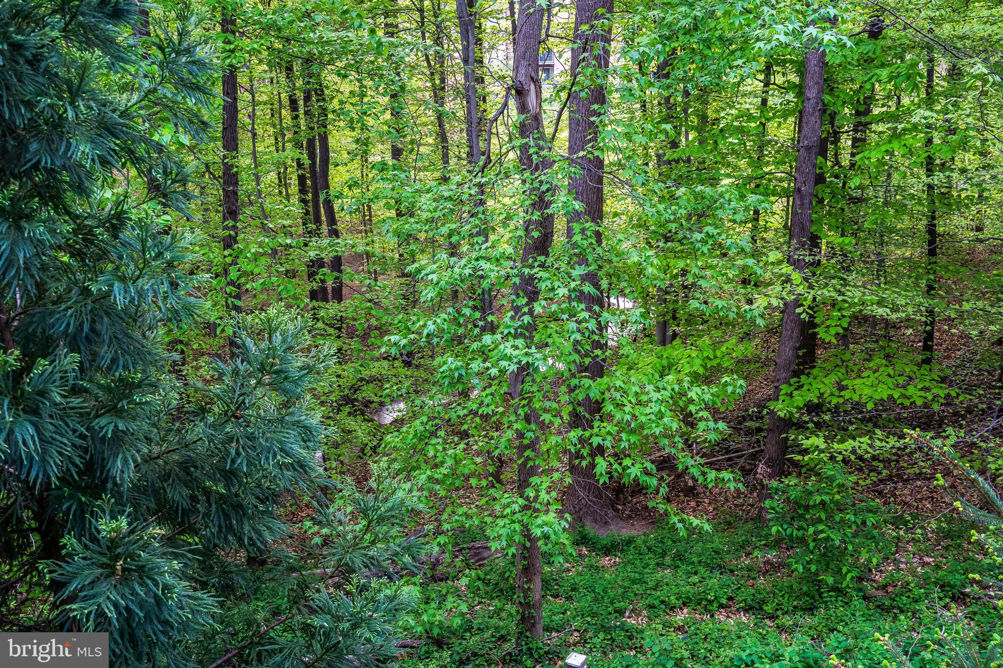 PENN DAW VILLAGE - Residential Lease