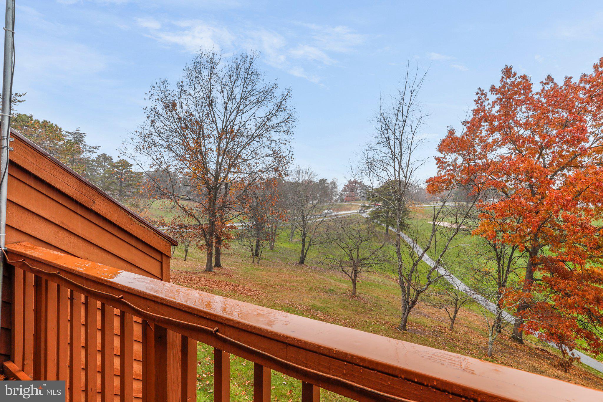 THE WOODS - Residential