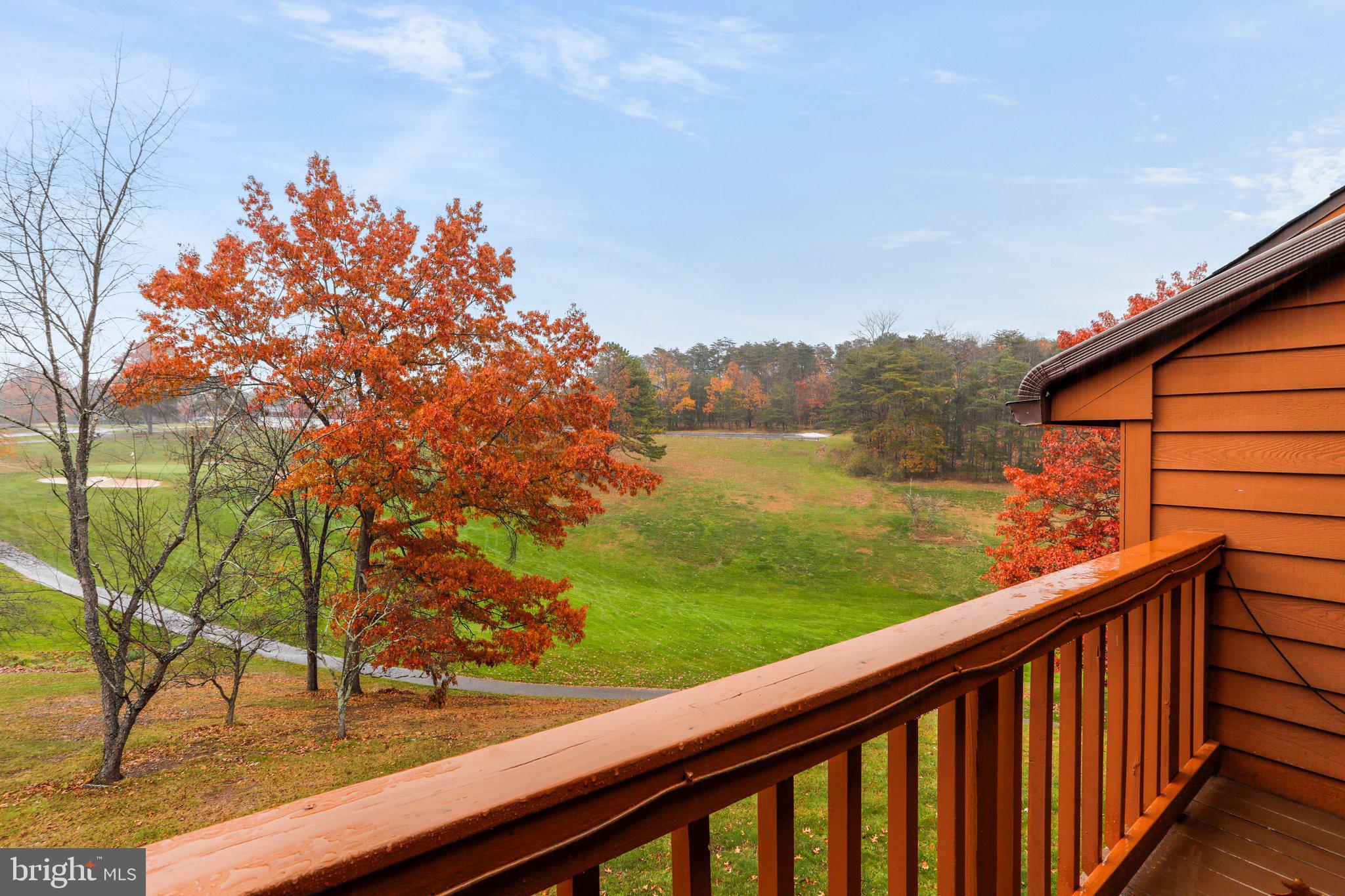 THE WOODS - Residential