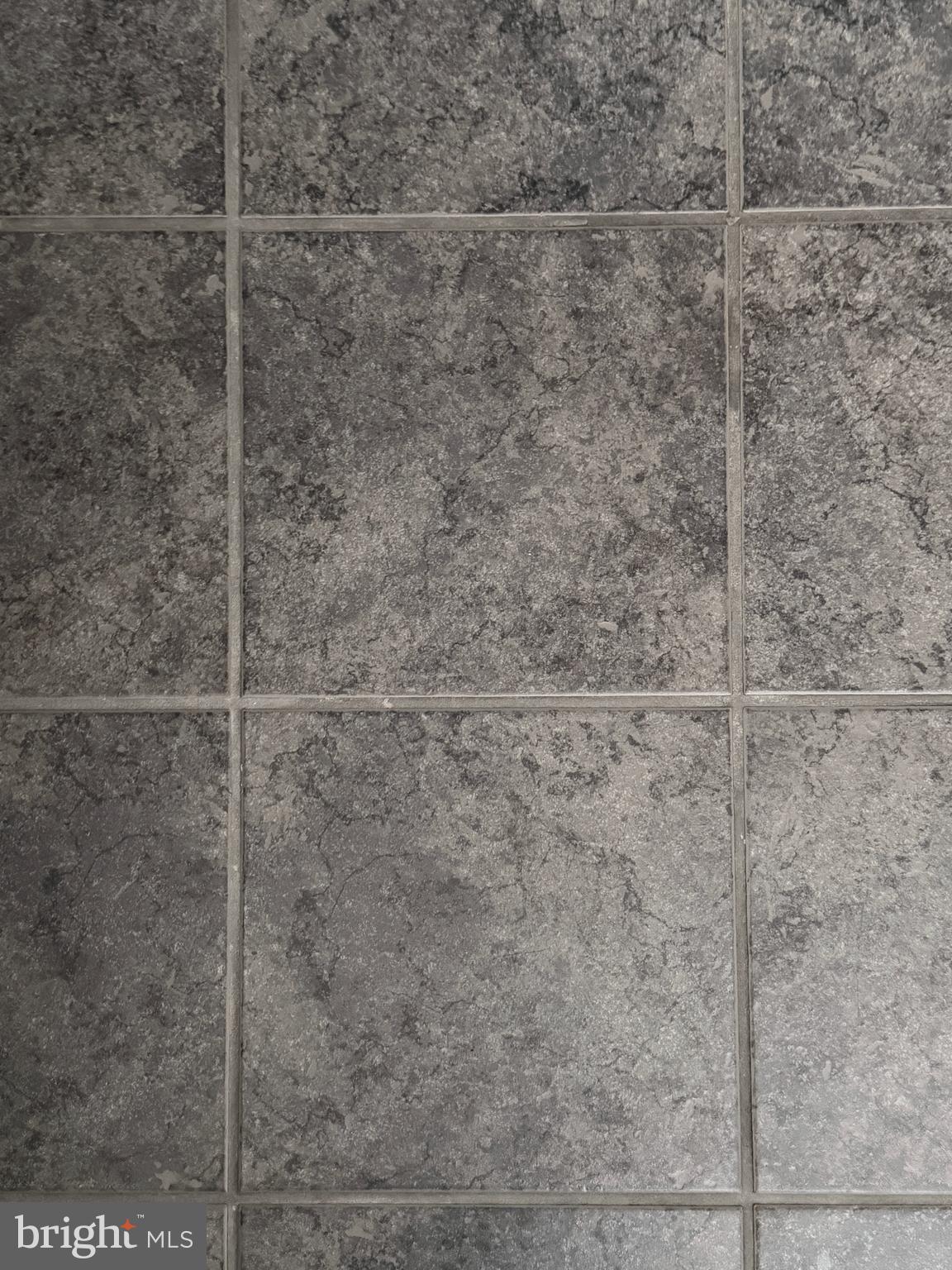 THE VILLAGES OF STEEPLECHASE - Residential