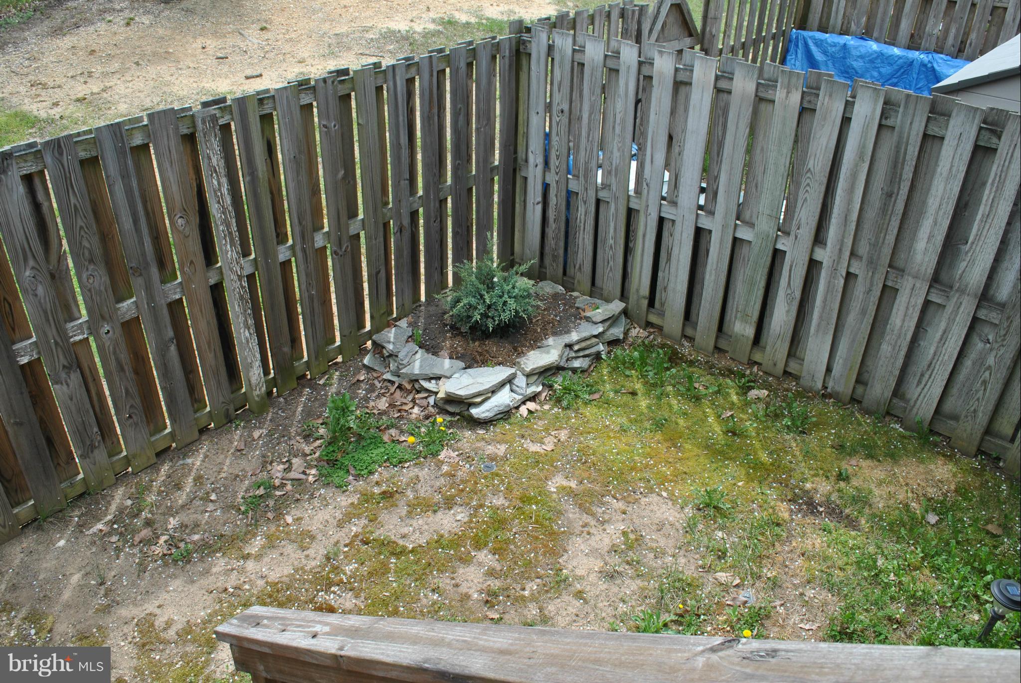 CAROLYN FOREST - Residential Lease