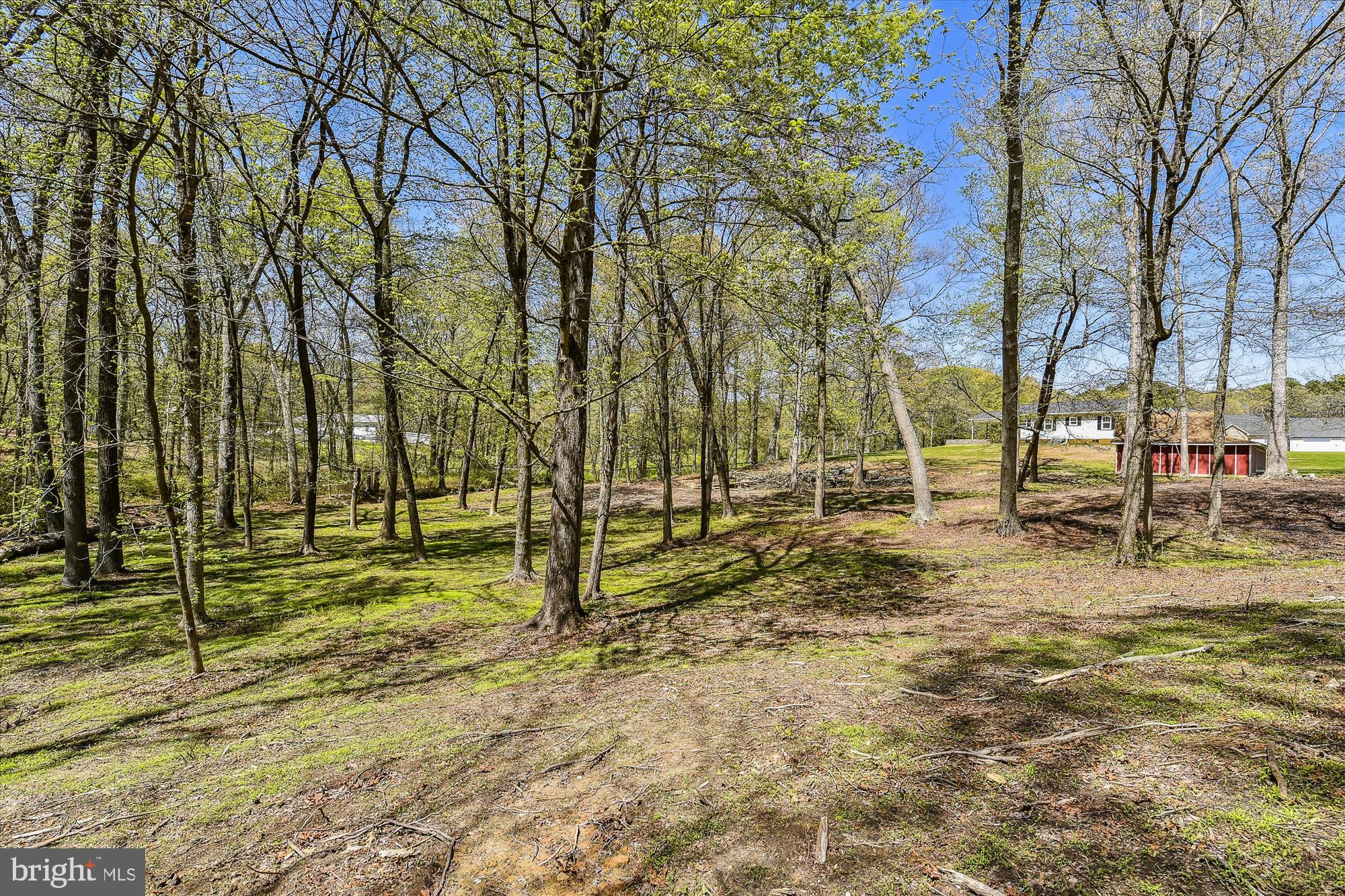 REGULARS - Residential Lease