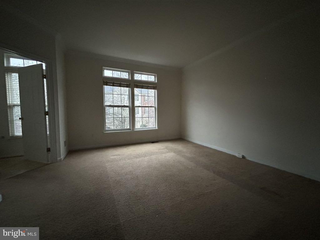 8477 HALLIE ROSE STREET