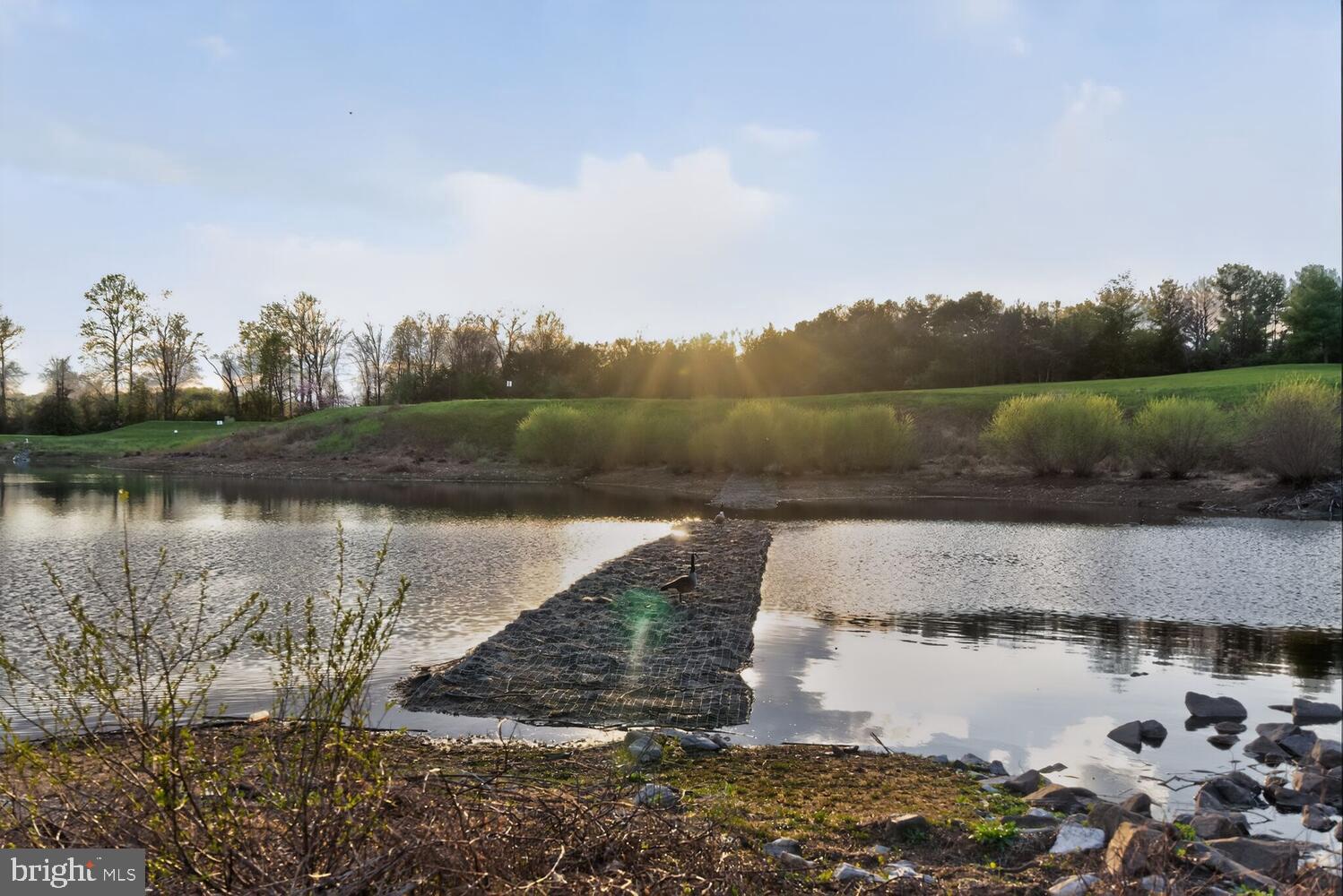 HAMPSHIRE GREENS - Residential