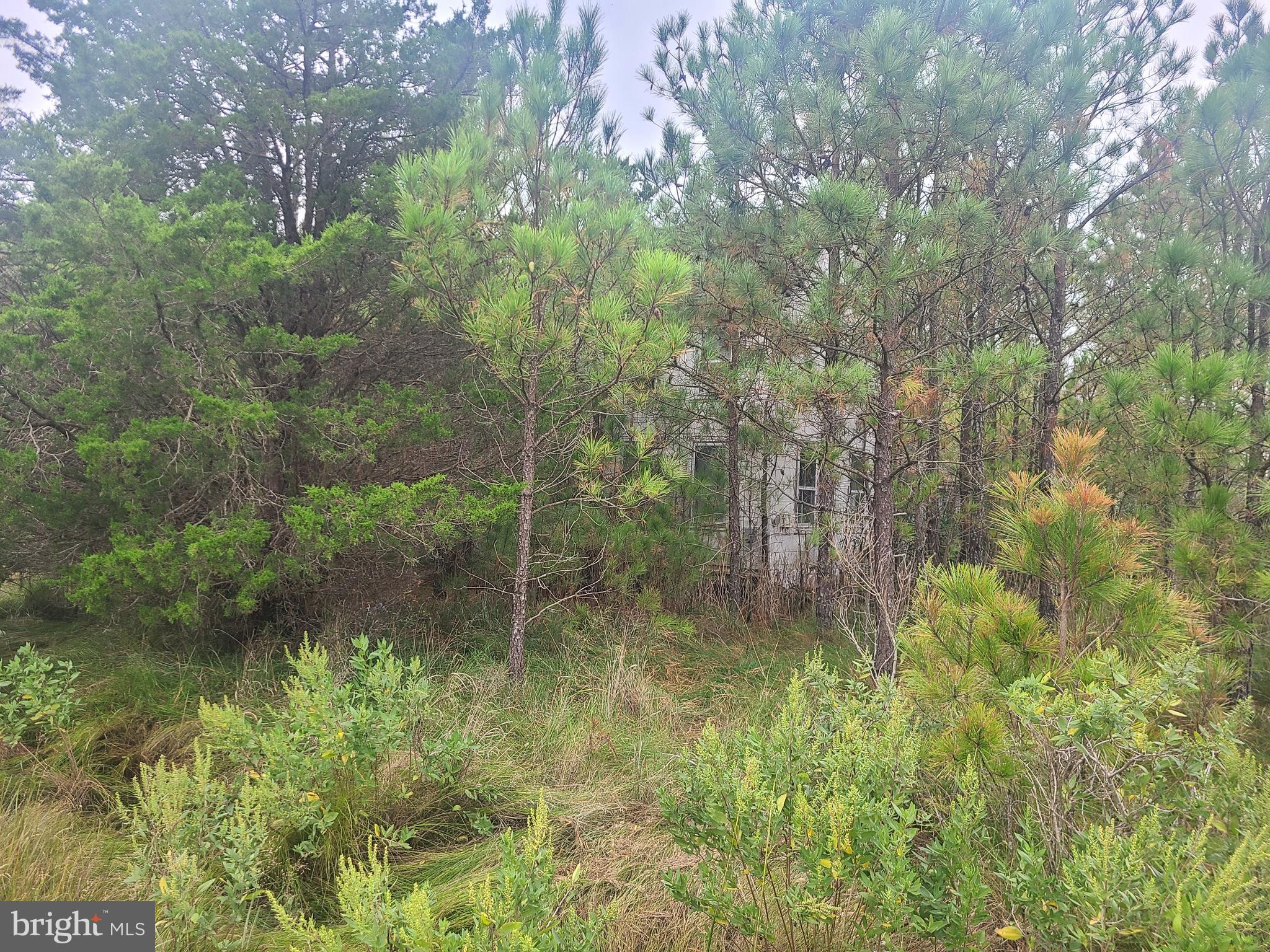 BISHOPS HEAD - Residential