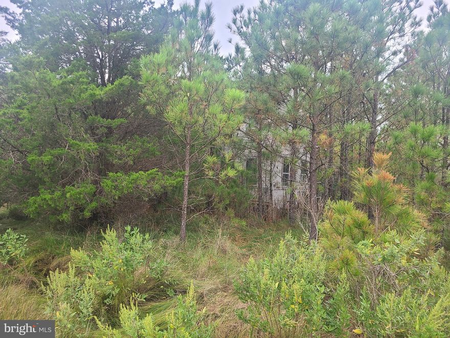 This is an uninhabitable 800 sq foot 2 story home (DO Not Enter Home). It hasn't been occupied in about 20 years. The previous deed states the home sits on about 2 acres although the tax records state 1 acre. Approximately 200 ft of road frontage.
Eat in kitchen with propane stove and propane space heater. Add'l rooms are a liv. rm,sun room, bedrooms up. There is a quarter bath off the kitchen with a 30+ year old incinerating toilet (of little to no value). The quarter bathroom is large enough be an expanded to a small full bath someday. There is also a two seat privy near the garage with a 4 in pipe for pump out. The well pump is in the closet off the kitchen.
The Garage roof is holding but exterior needs repair. Fiberglass over head doors. A  great place to store a small boat or kayaks as the public boat docks and places to launch are numerous. There may be public hunting lands around, make some calls to check if you are a hunter. The area around the house and garage was relatively dry compared to other properties to the north.  There is one other old house somewhat visible down the road to the south. To the east is a miles long view across the street. In the summer the tall grasses dance in the wind and it looks like waves off in the distance.