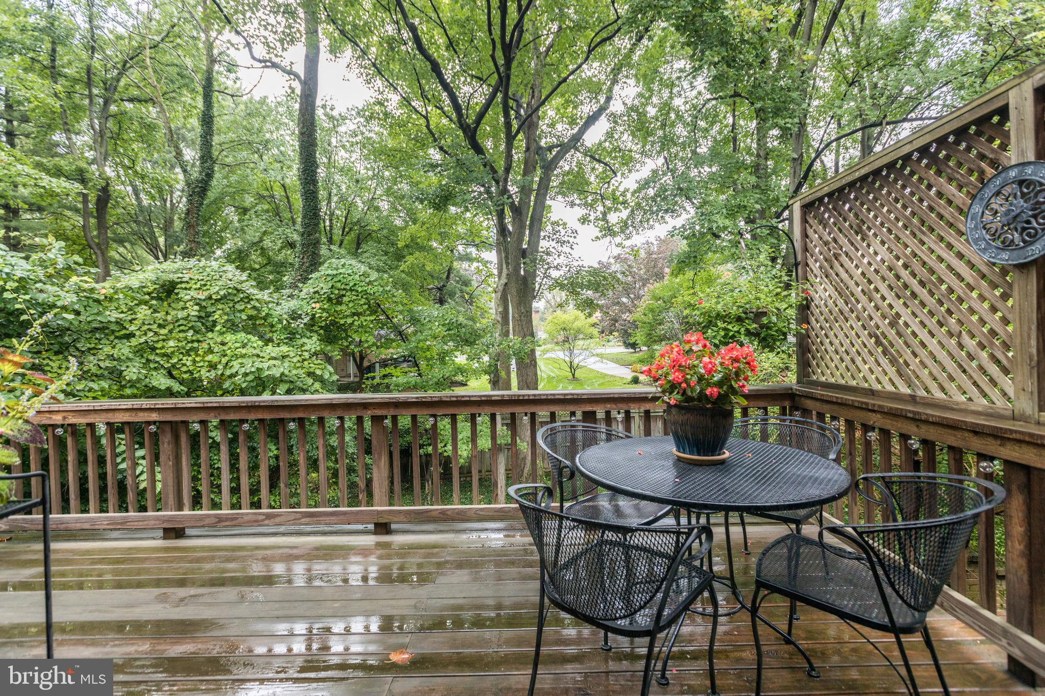 WILLIAMSBURG POND - Residential