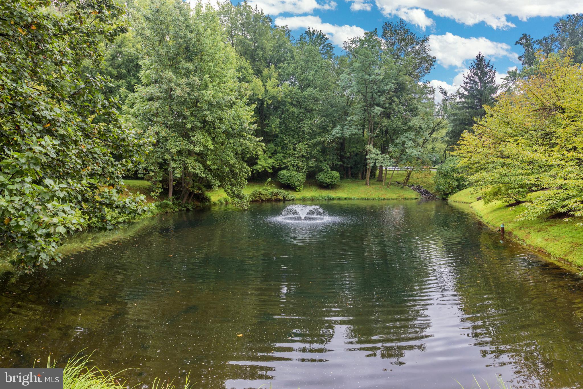 WILLIAMSBURG POND - Residential