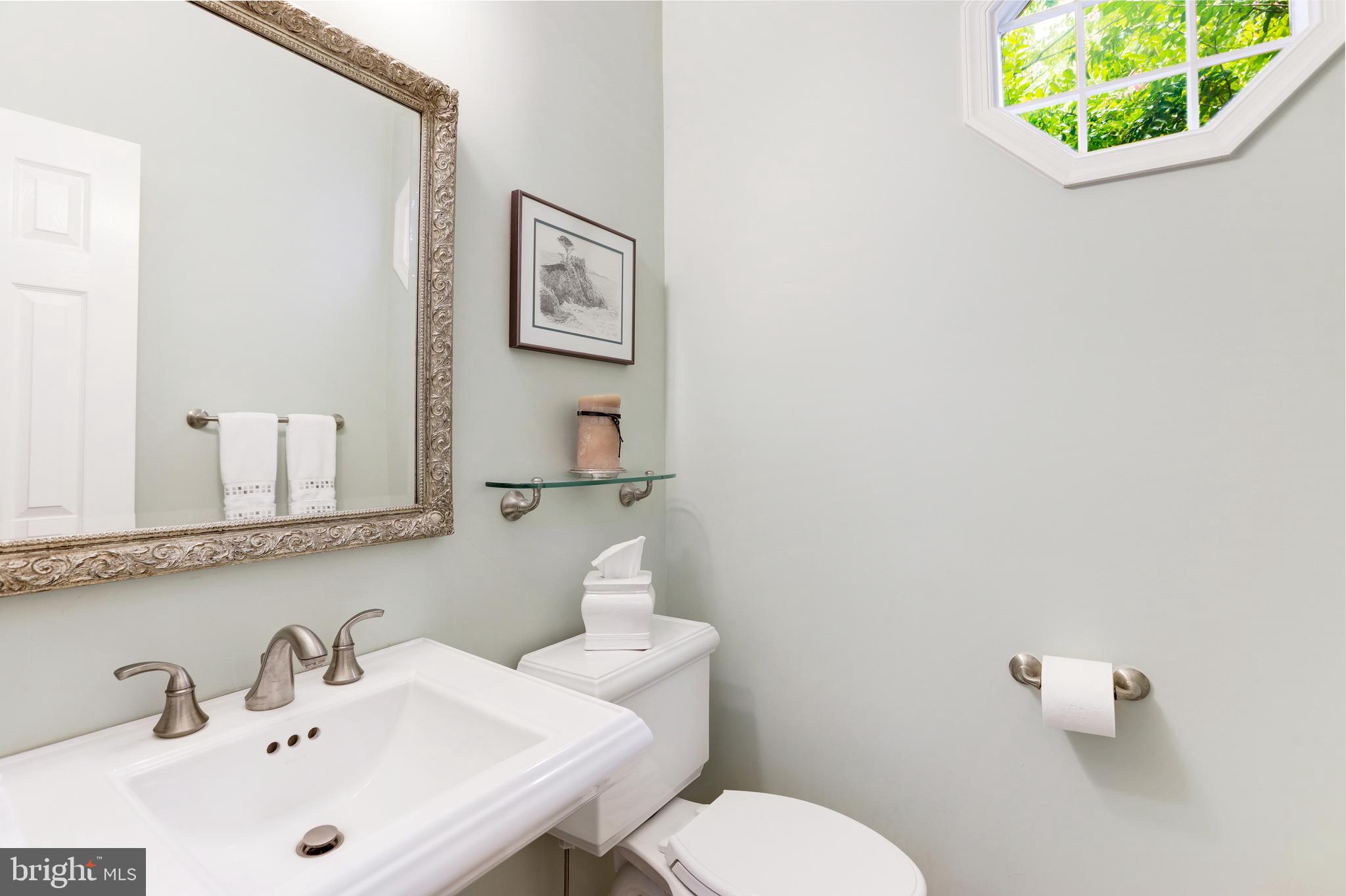 WILLIAMSBURG POND - Residential