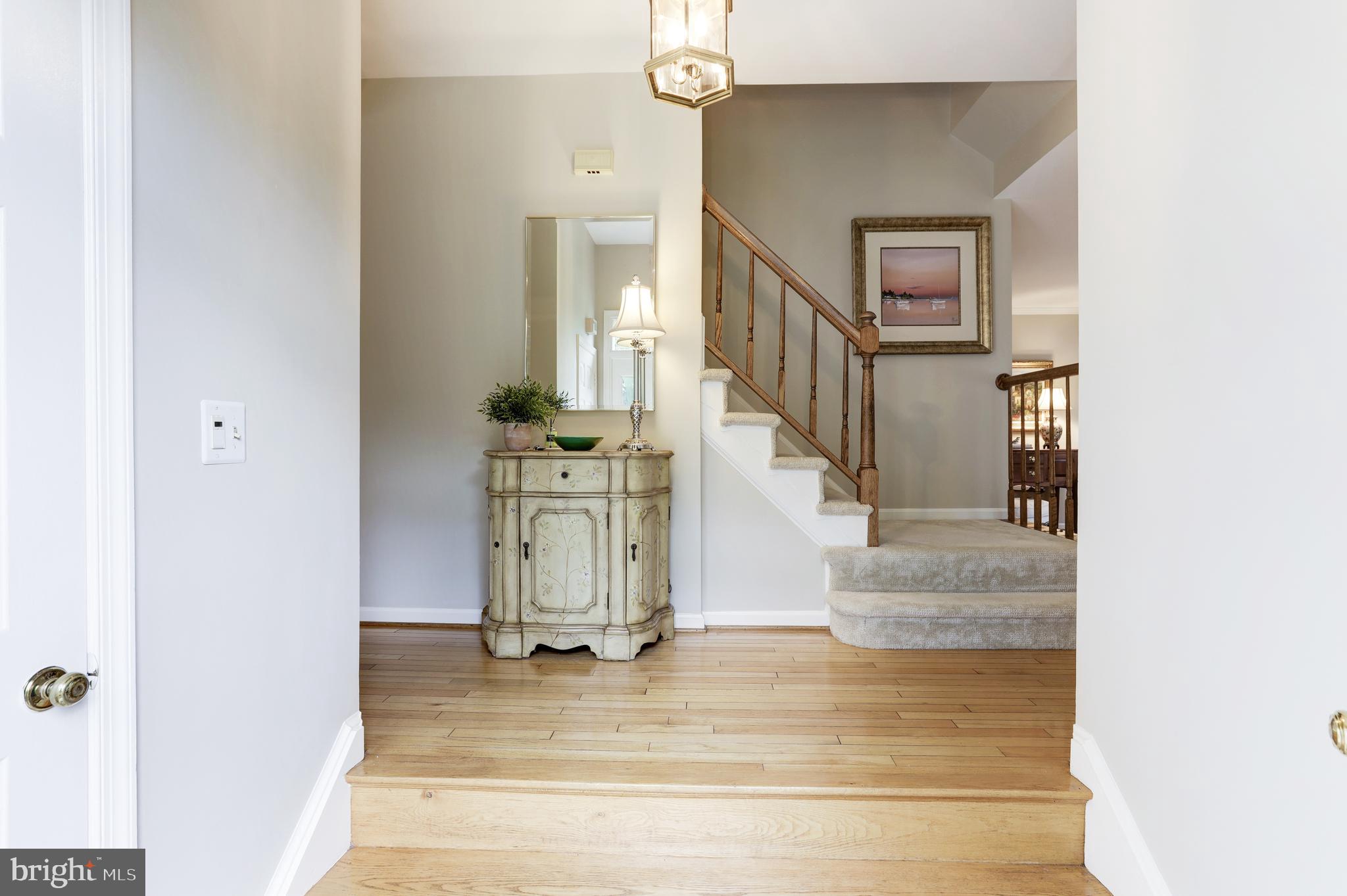 WILLIAMSBURG POND - Residential