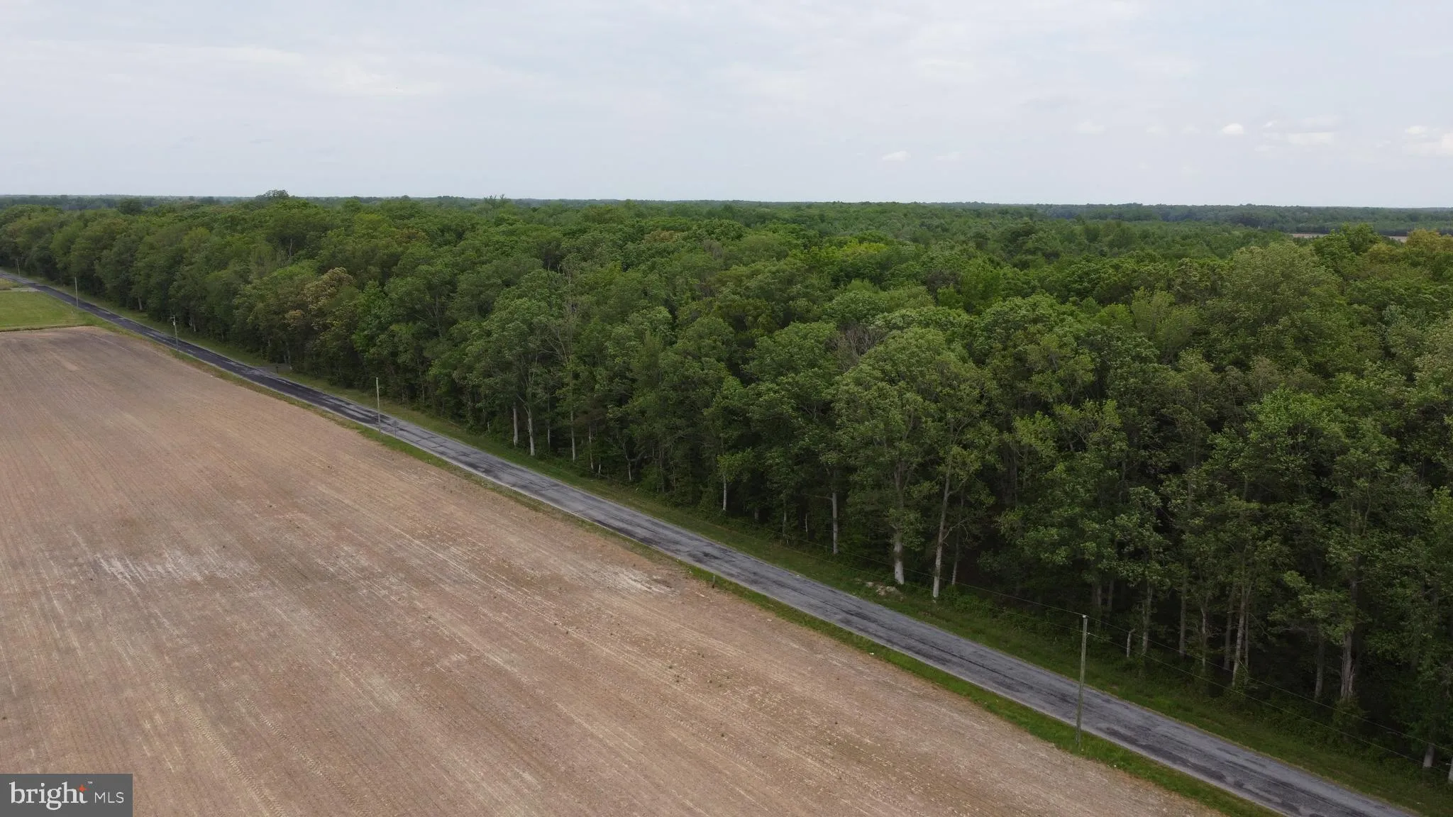 Additional image 15 of Lot 4 Cedar Grove Church Road, Felton, DE 19943