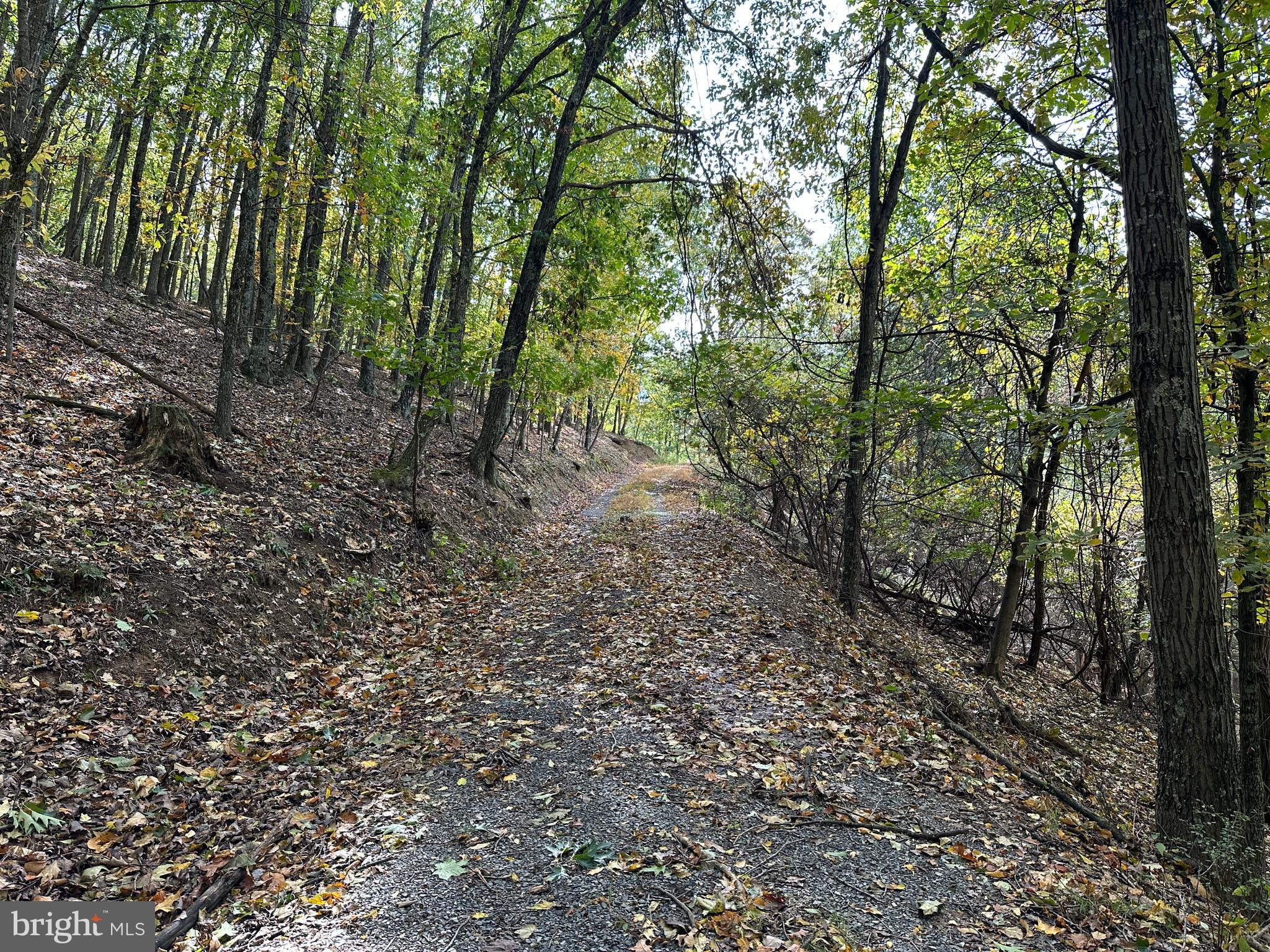 CARDINAL RIDGE ESTATES - Land