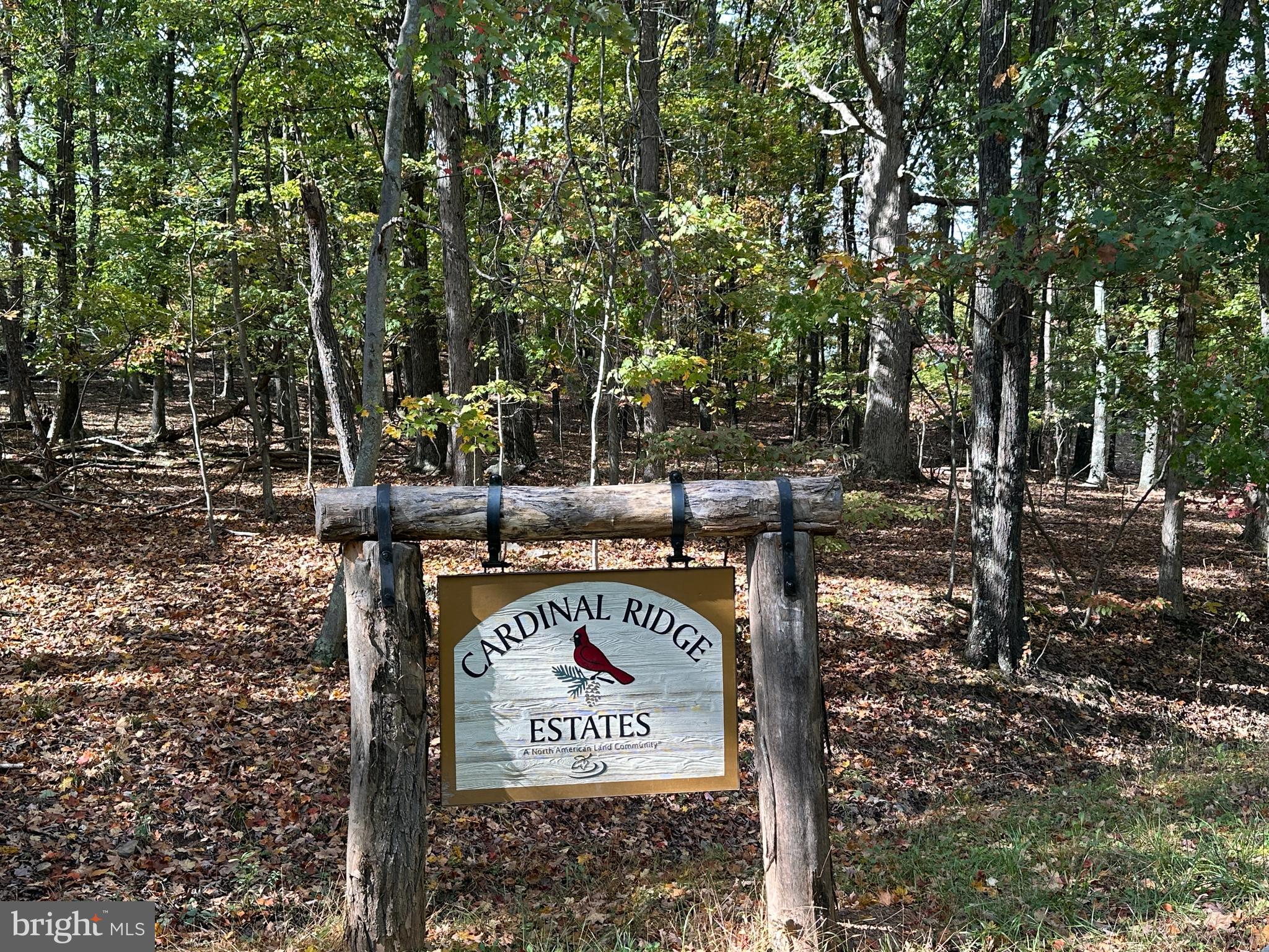 CARDINAL RIDGE ESTATES - Land