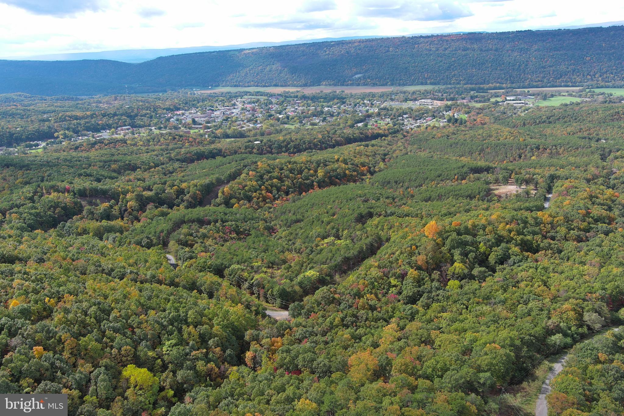 CARDINAL RIDGE ESTATES - Land