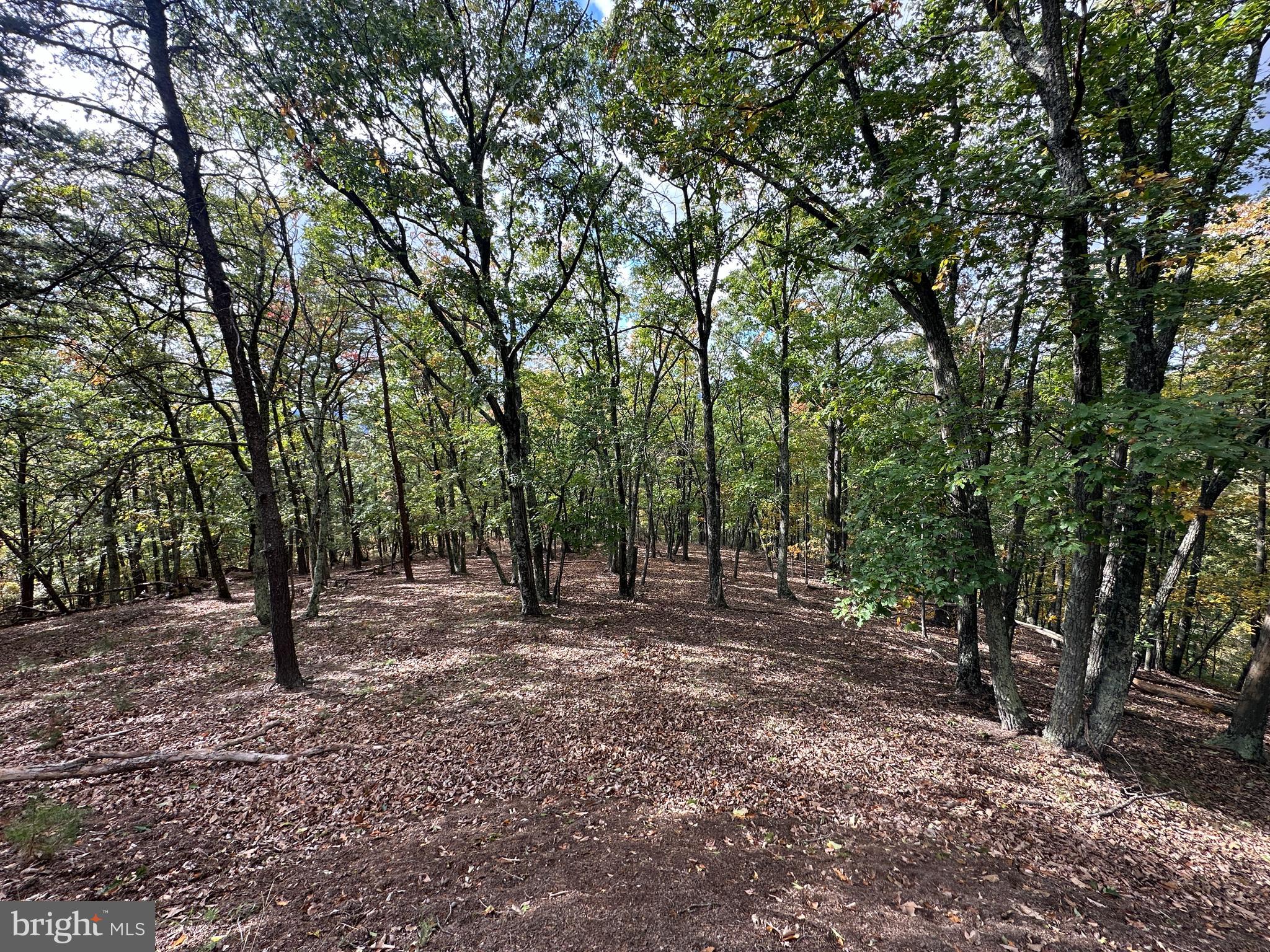 CARDINAL RIDGE ESTATES - Land