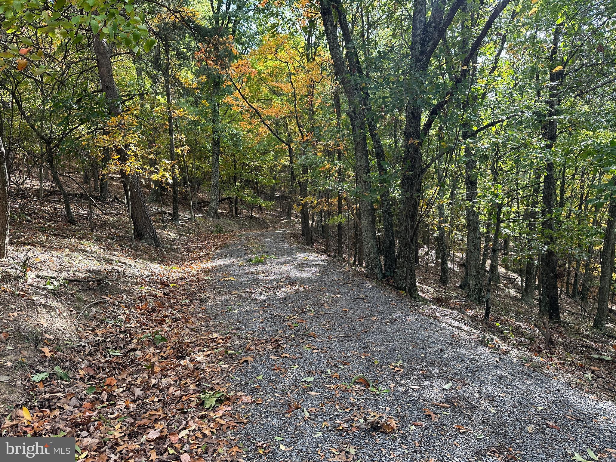 CARDINAL RIDGE ESTATES - Land