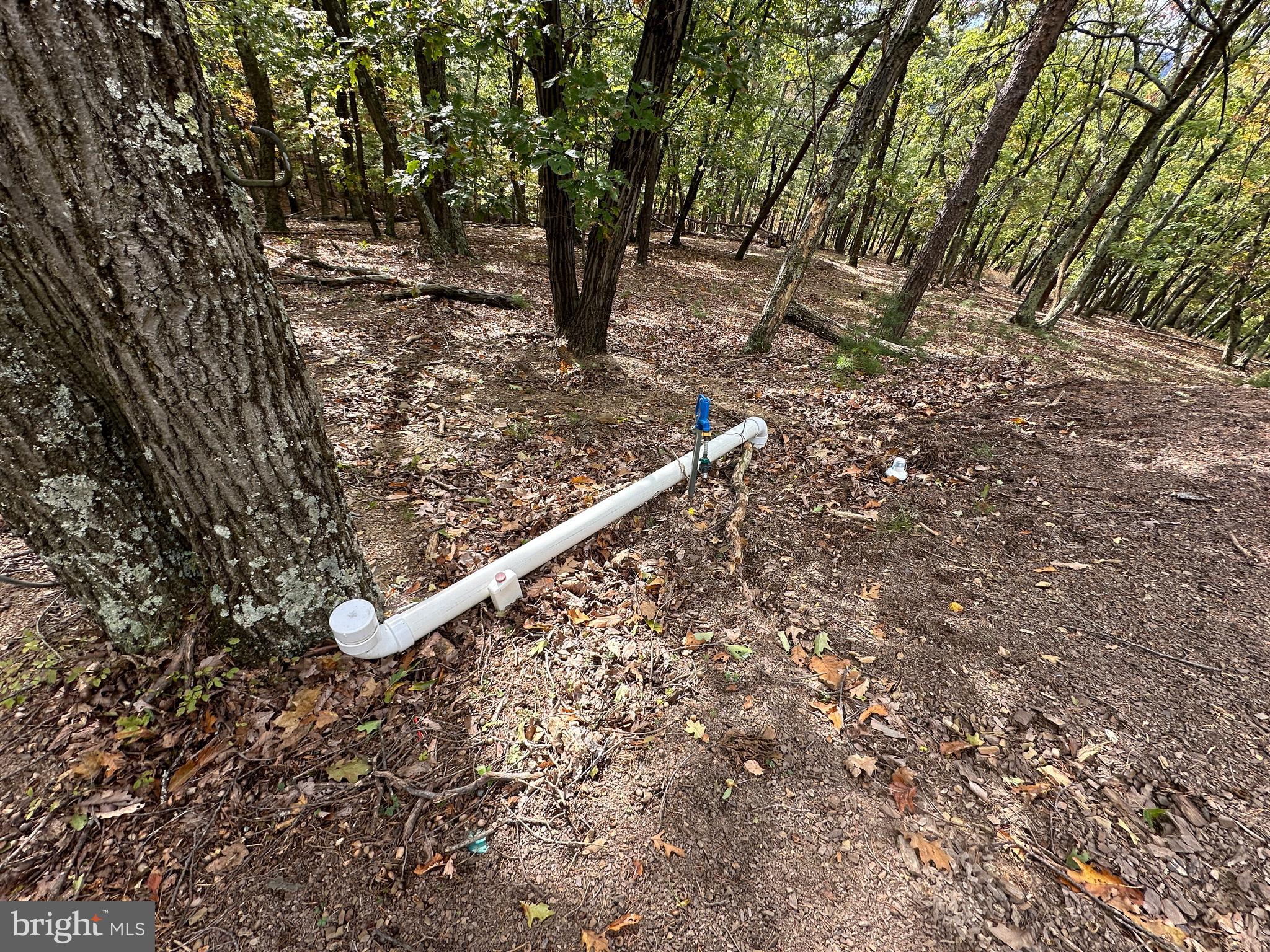 CARDINAL RIDGE ESTATES - Land