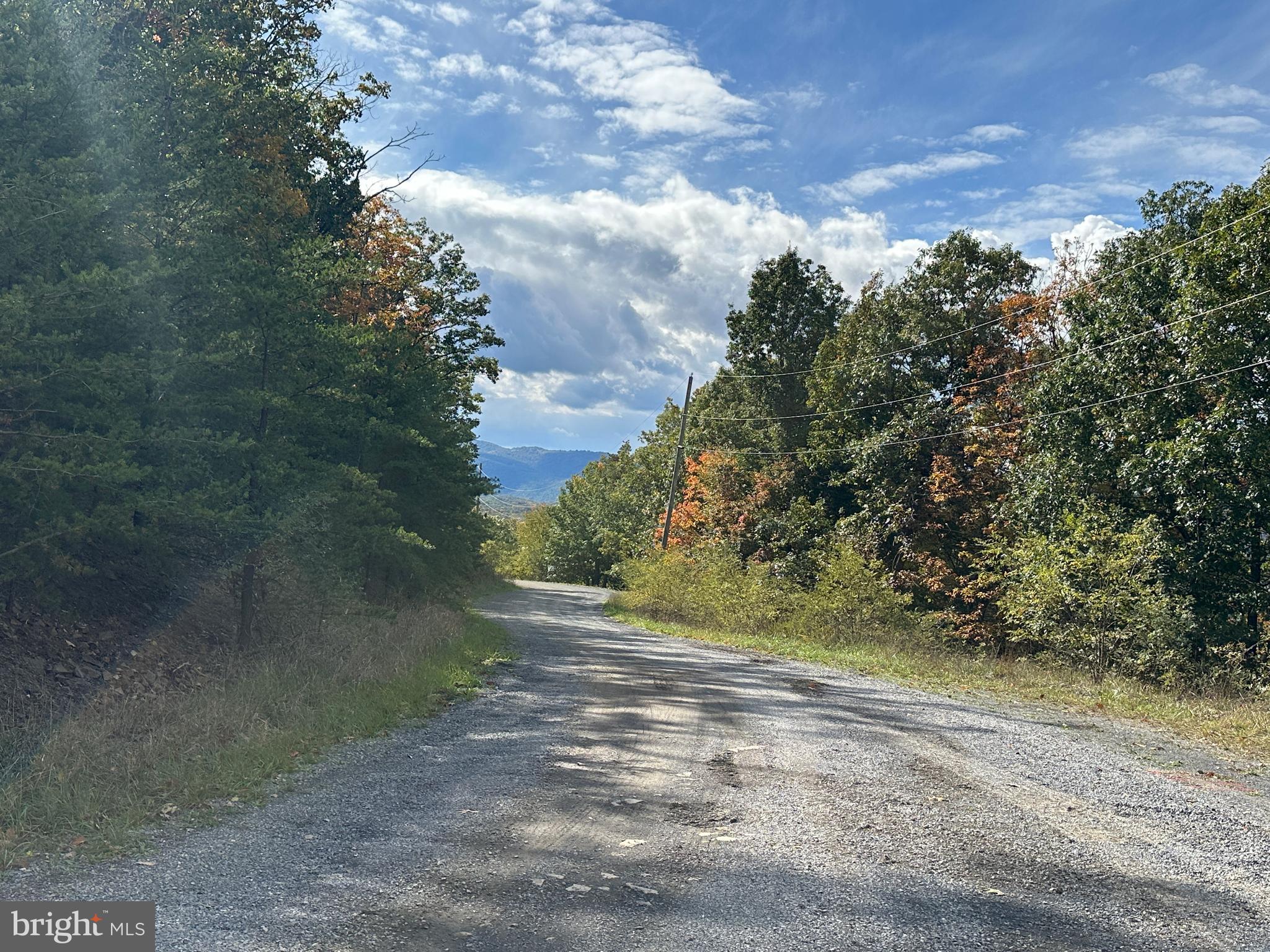 CARDINAL RIDGE ESTATES - Land