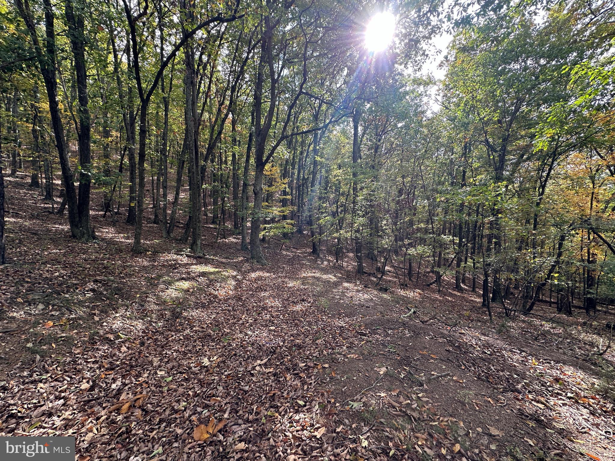 CARDINAL RIDGE ESTATES - Land