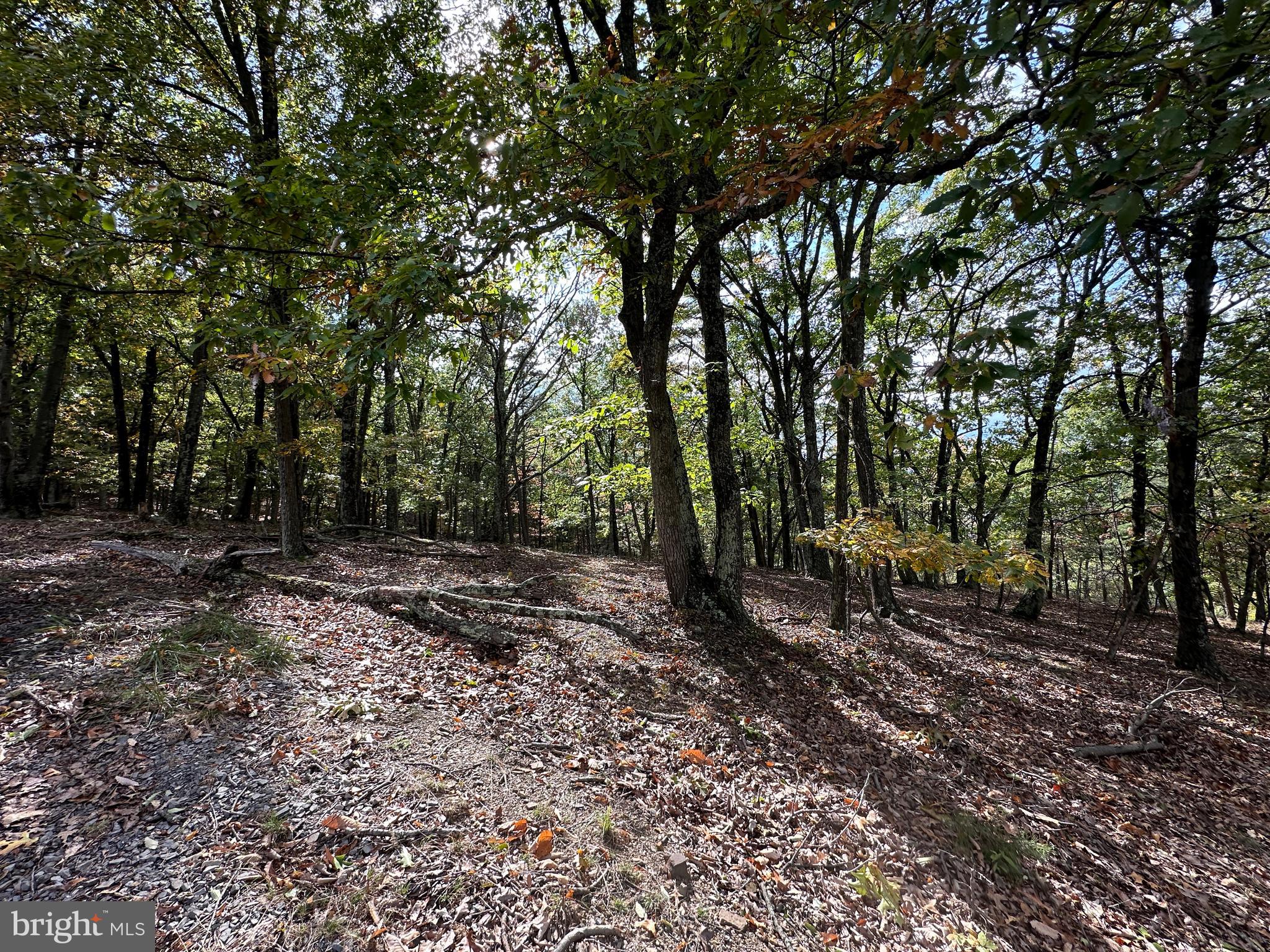 CARDINAL RIDGE ESTATES - Land