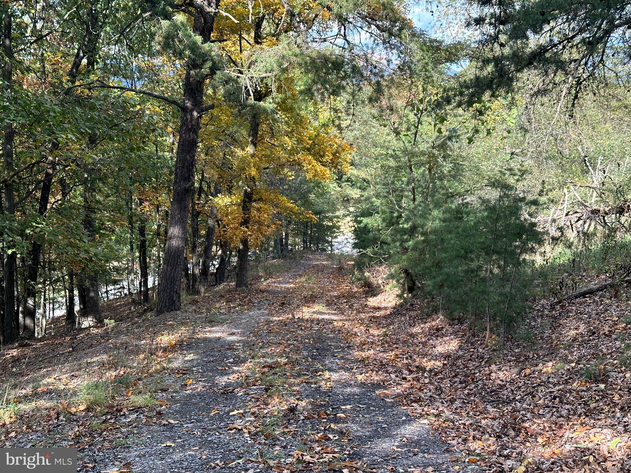 CARDINAL RIDGE ESTATES - Land