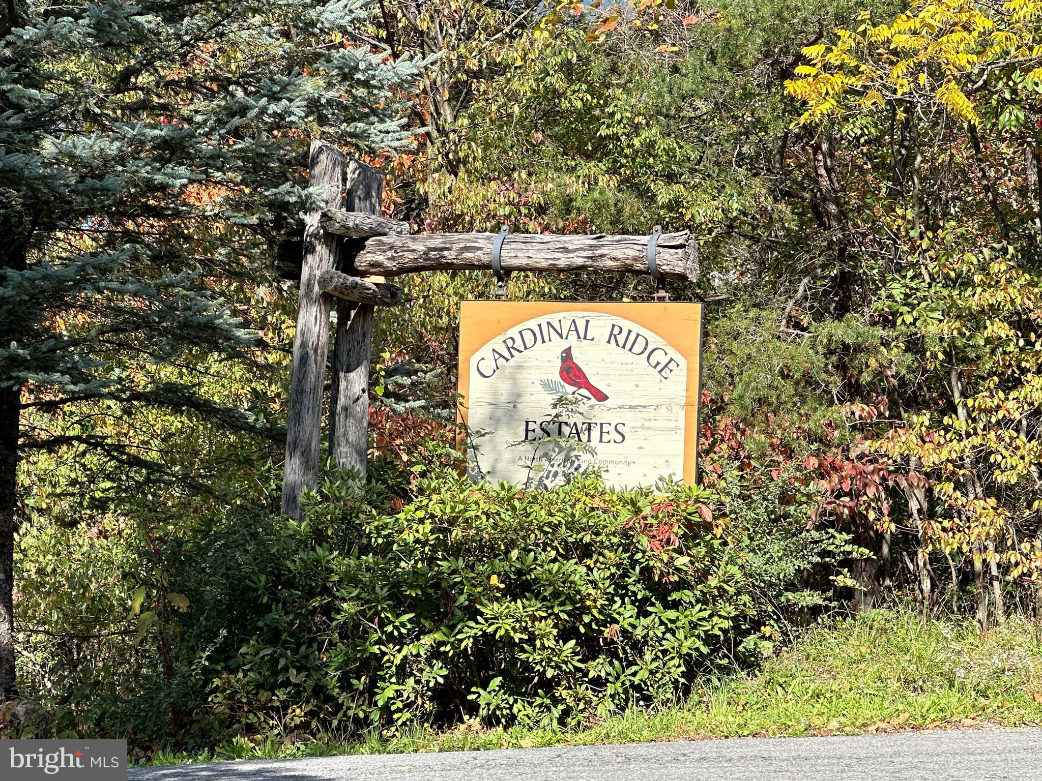 CARDINAL RIDGE ESTATES - Land