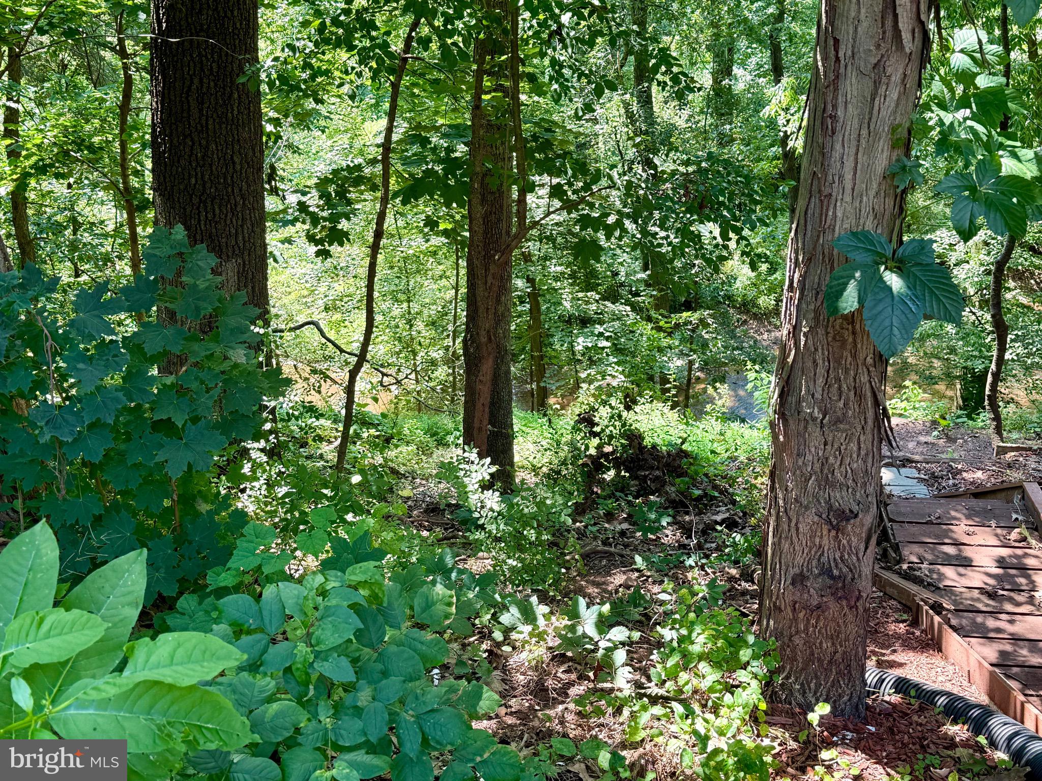 VALLEY GREEN VILLAGE - Residential