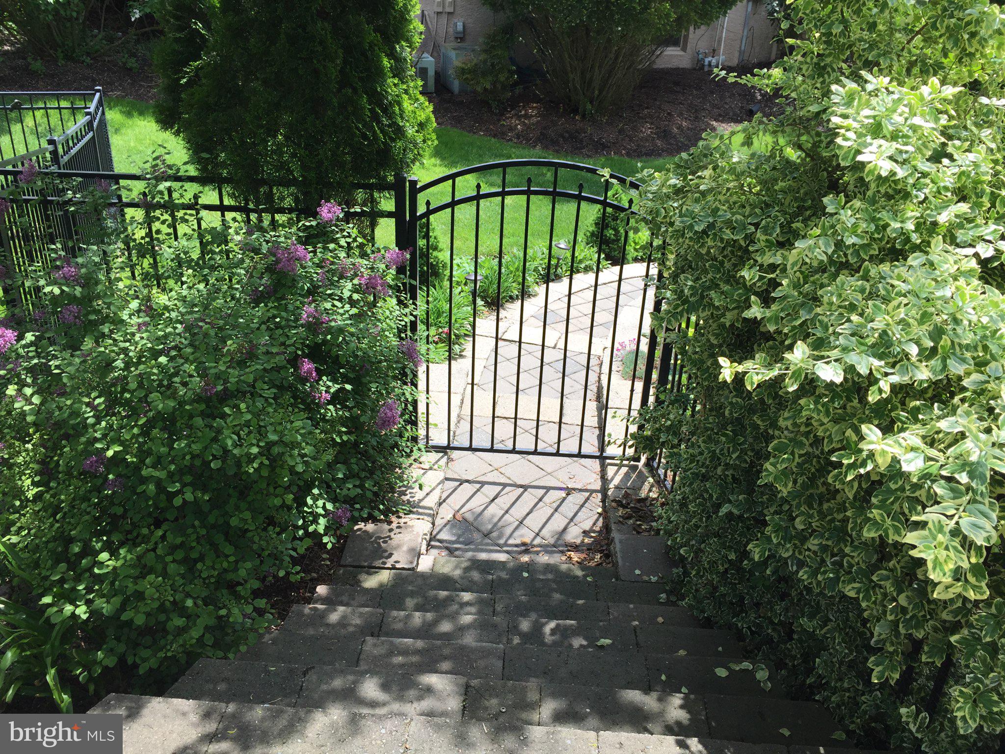 DOYLESTOWN LEA - Residential