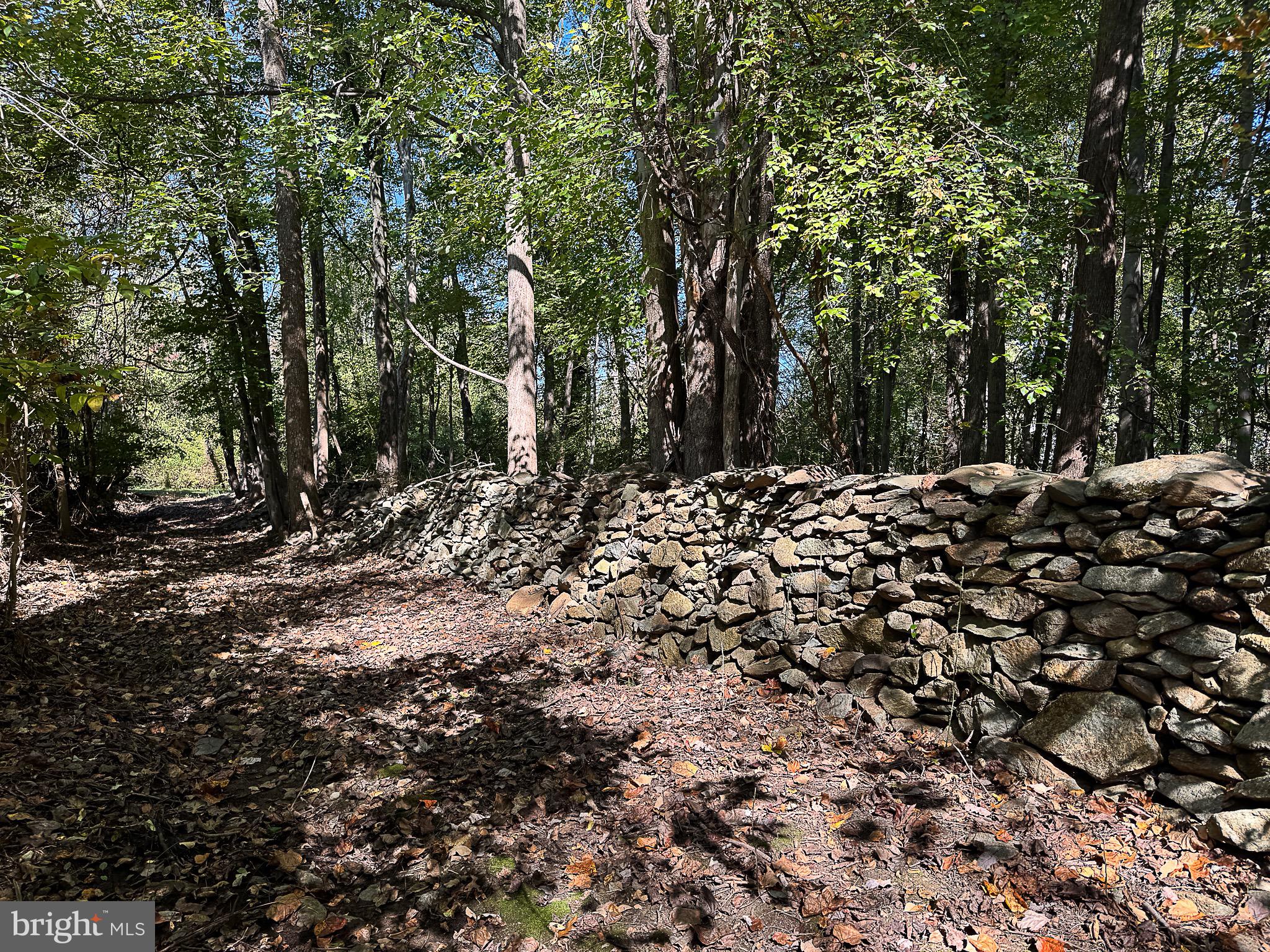 BIRCH HOLLOW HAMLET - Residential