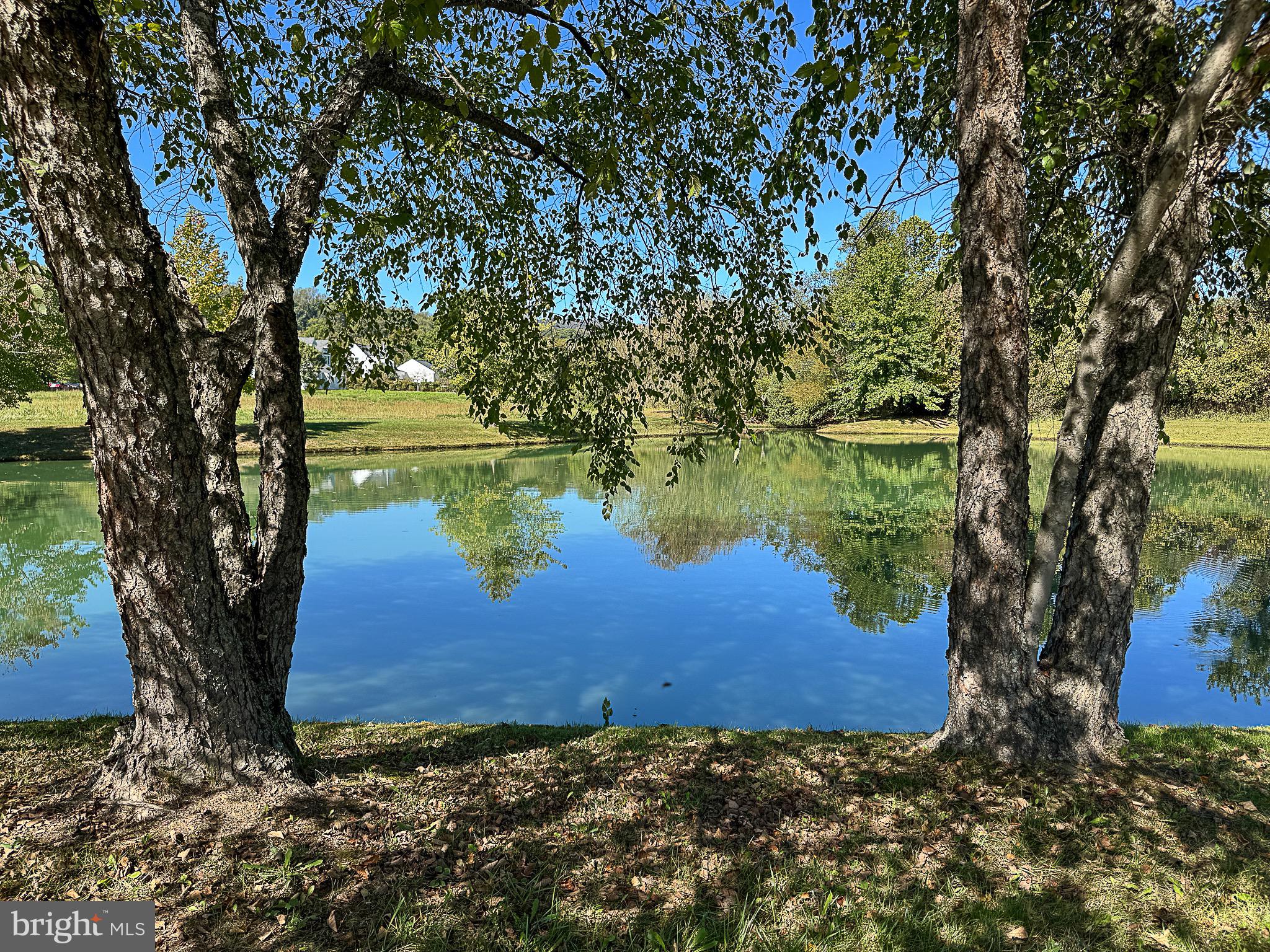 BIRCH HOLLOW HAMLET - Residential