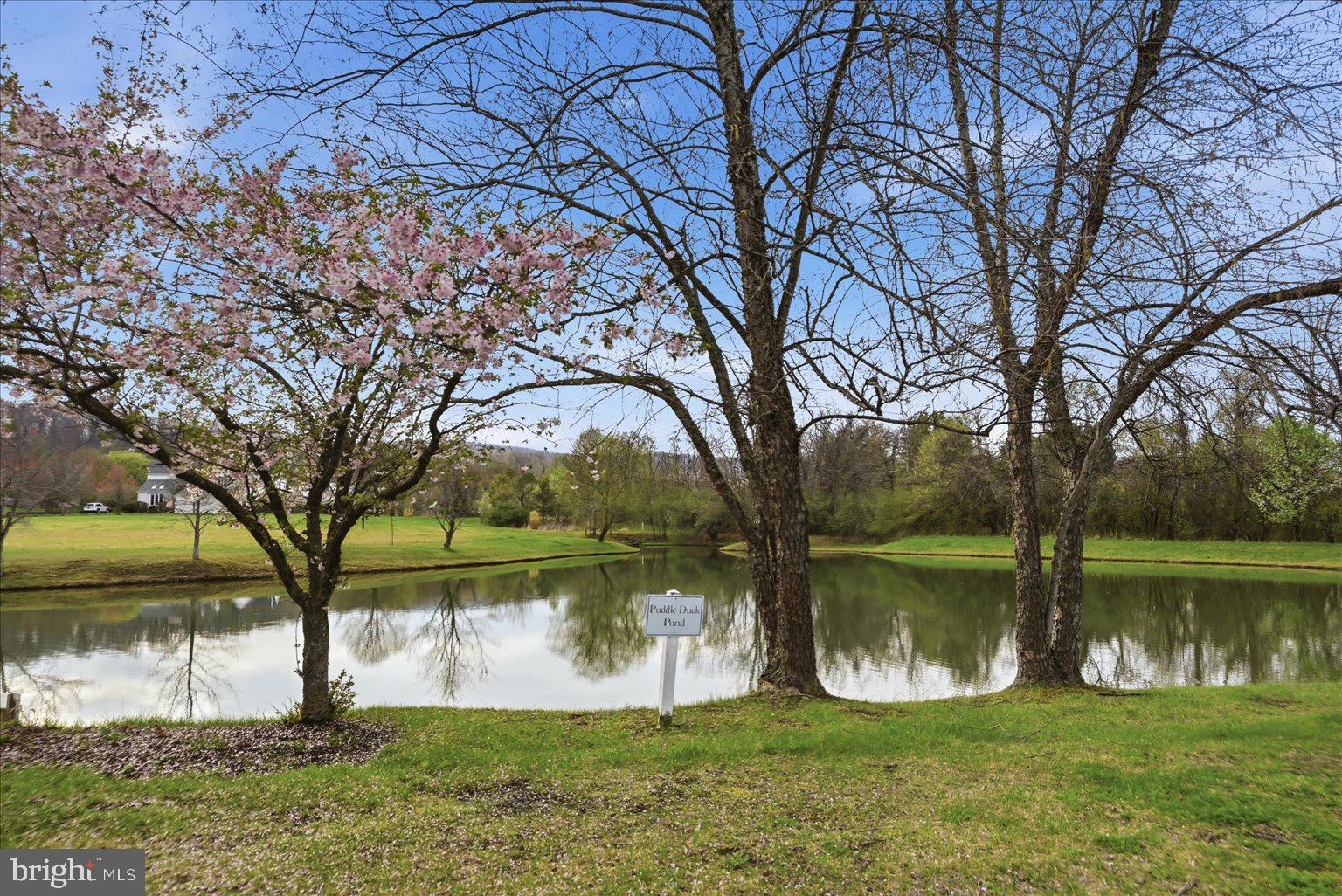 BIRCH HOLLOW HAMLET - Residential