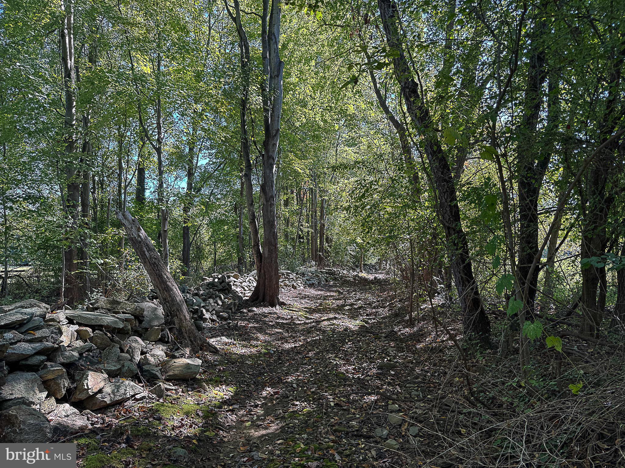 BIRCH HOLLOW HAMLET - Residential